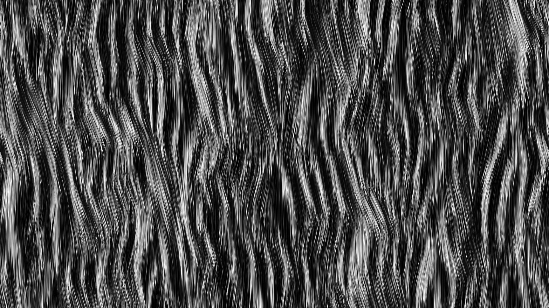Textil Cebra Blanco y Negro. Wallpaper in 1920x1080 Resolution