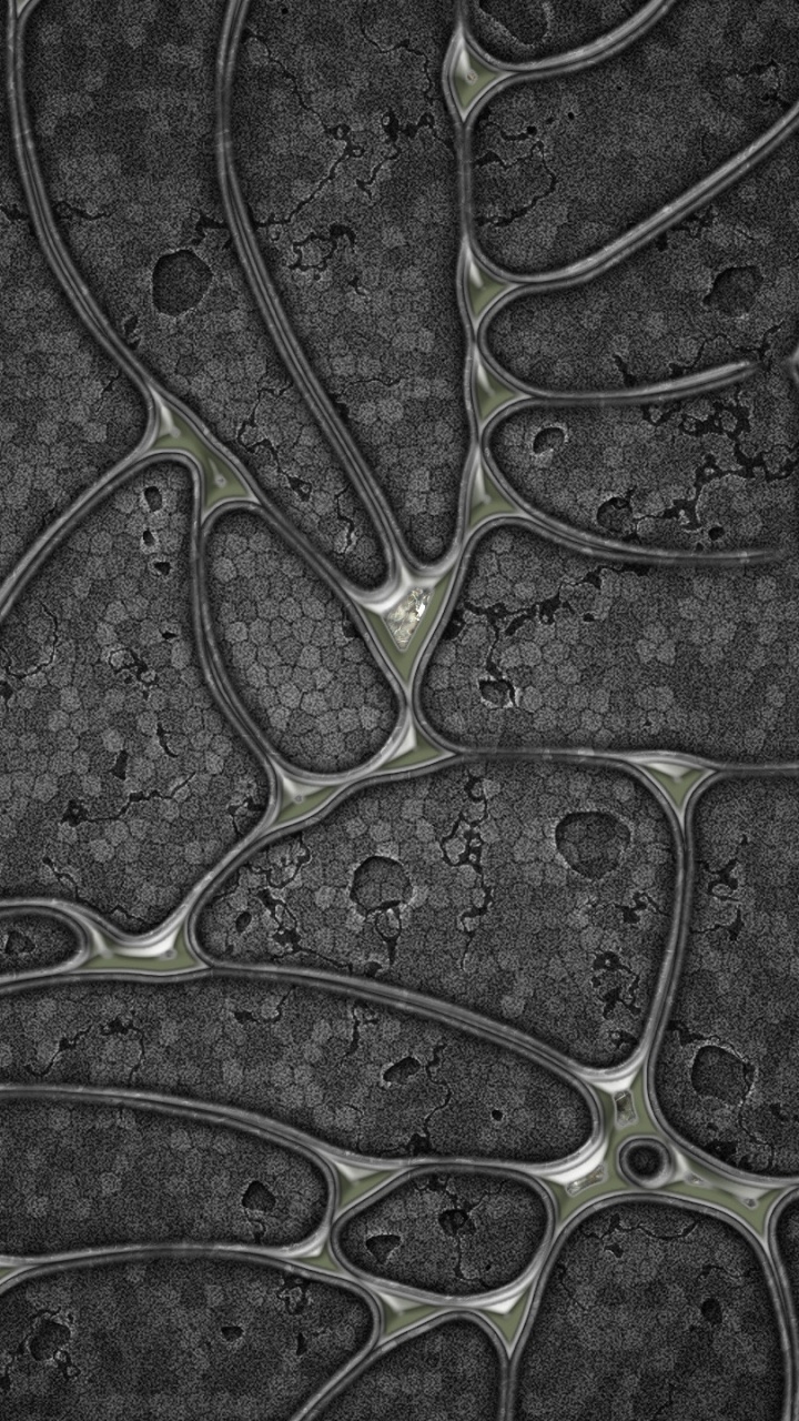 单色模式, Linux, 黑色和白色的, 黑色的 壁纸 720x1280 允许