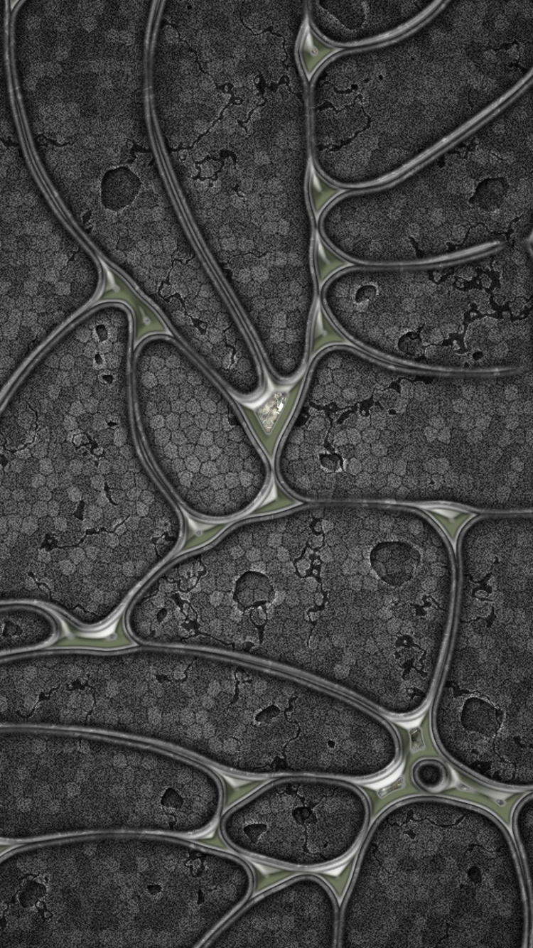 Pintura Abstracta Verde y Negra. Wallpaper in 750x1334 Resolution