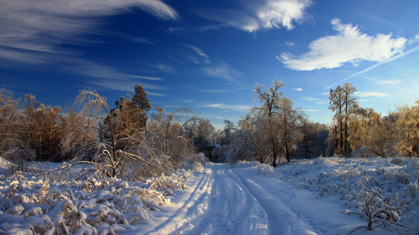Kahle Bäume Auf Schneebedecktem Boden Unter Blau-weiß Bewölktem Himmel Tagsüber. Wallpaper in 1366x768 Resolution