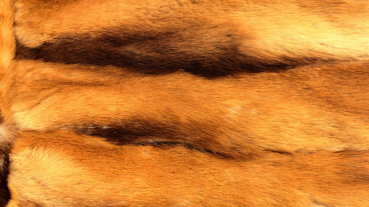 Brown and Black Fur Textile. Wallpaper in 1280x720 Resolution