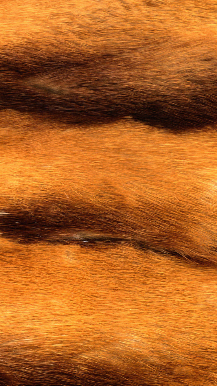 Brown and Black Fur Textile. Wallpaper in 750x1334 Resolution