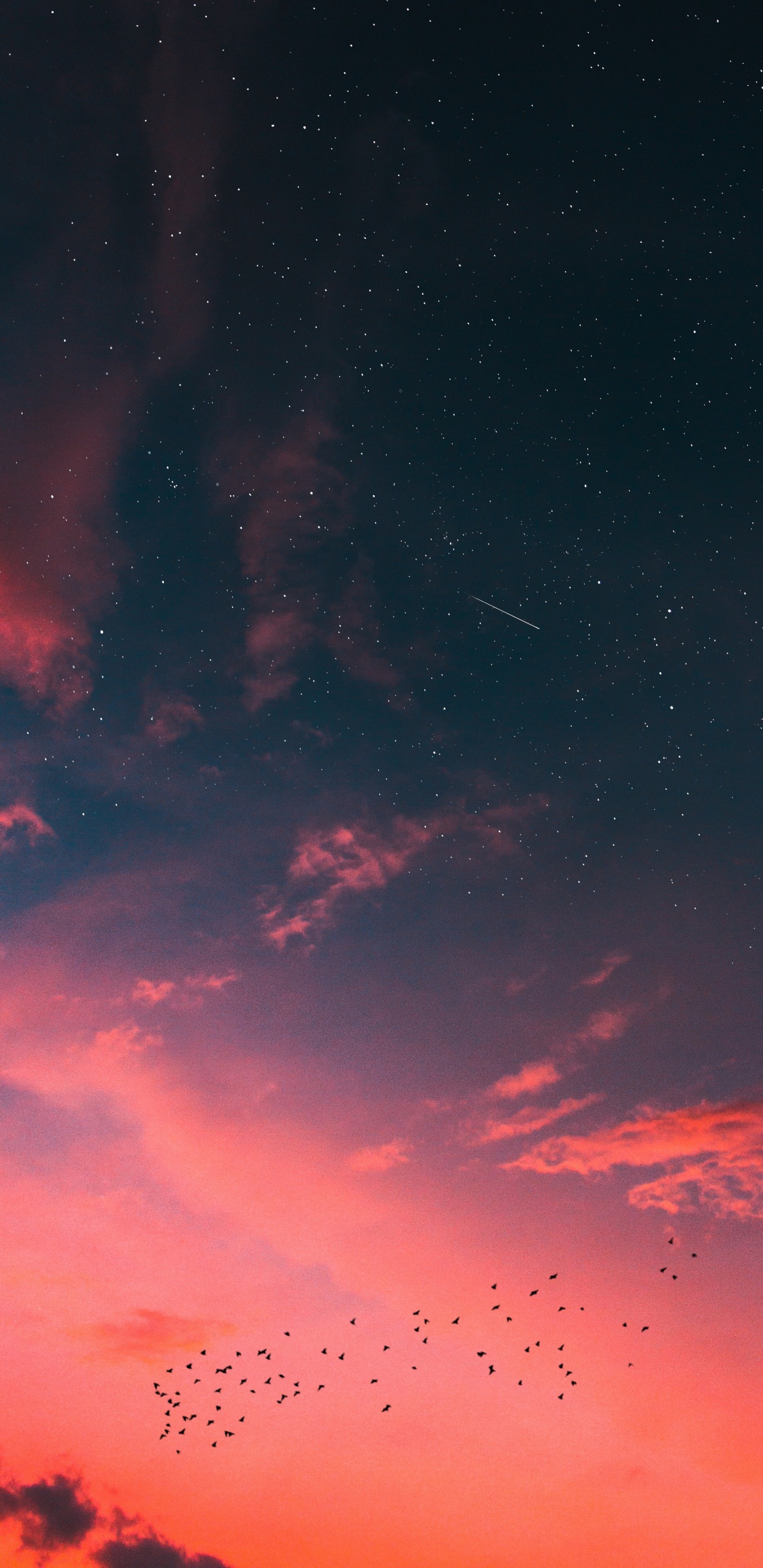 Lever, Atmosphère, Nature, Environnement Naturel, Paysage Naturel. Wallpaper in 1440x2960 Resolution