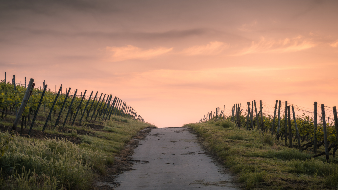 Enge Straße, Road, Cloud, Naturlandschaft, Holz. Wallpaper in 1366x768 Resolution