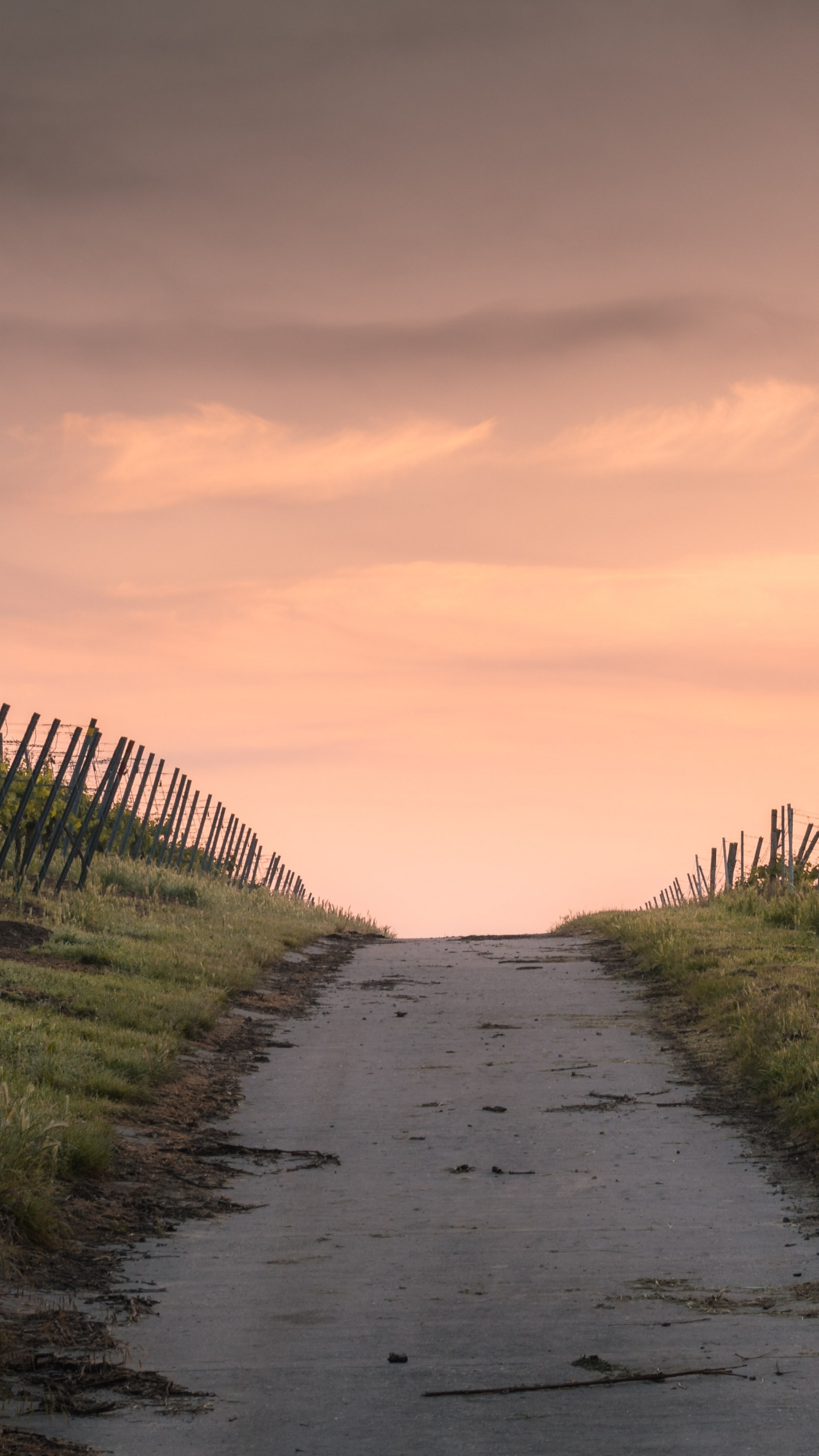 Enge Straße, Road, Cloud, Naturlandschaft, Holz. Wallpaper in 1440x2560 Resolution