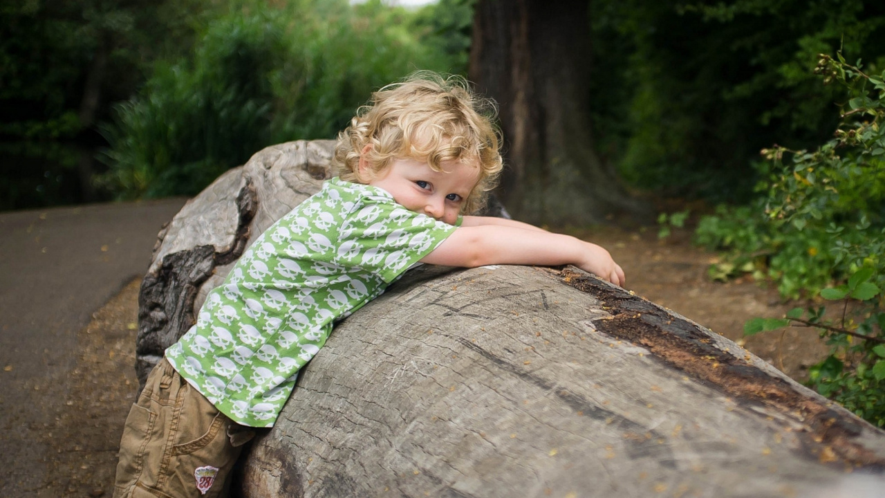 Tree, Woodland, Child, Jungle, Vacation. Wallpaper in 1280x720 Resolution