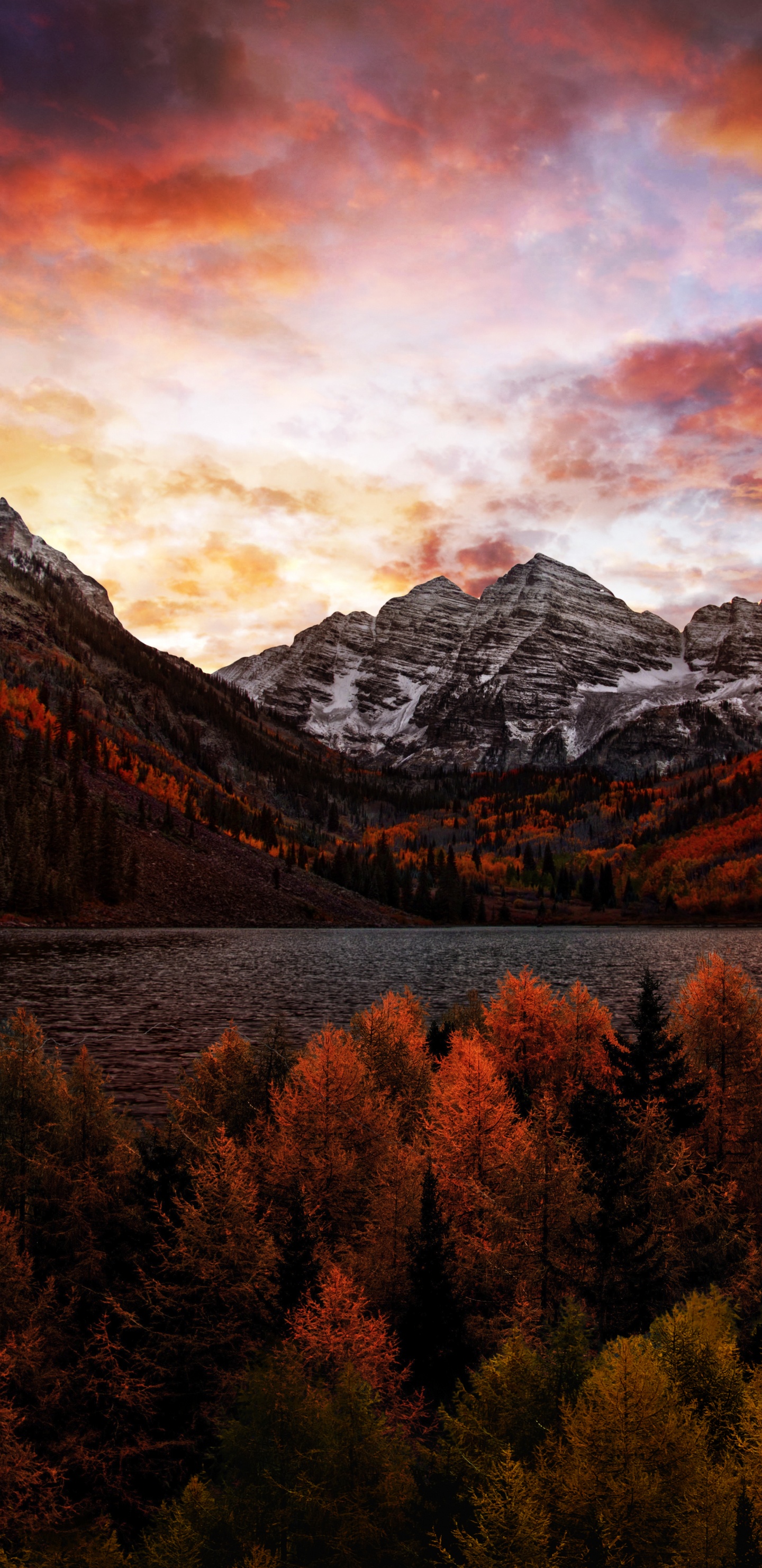 Entspannung Natur, Walgesnge Melodie Zum Einschlafen, Cloud, Mountain, Ecoregion. Wallpaper in 1440x2960 Resolution