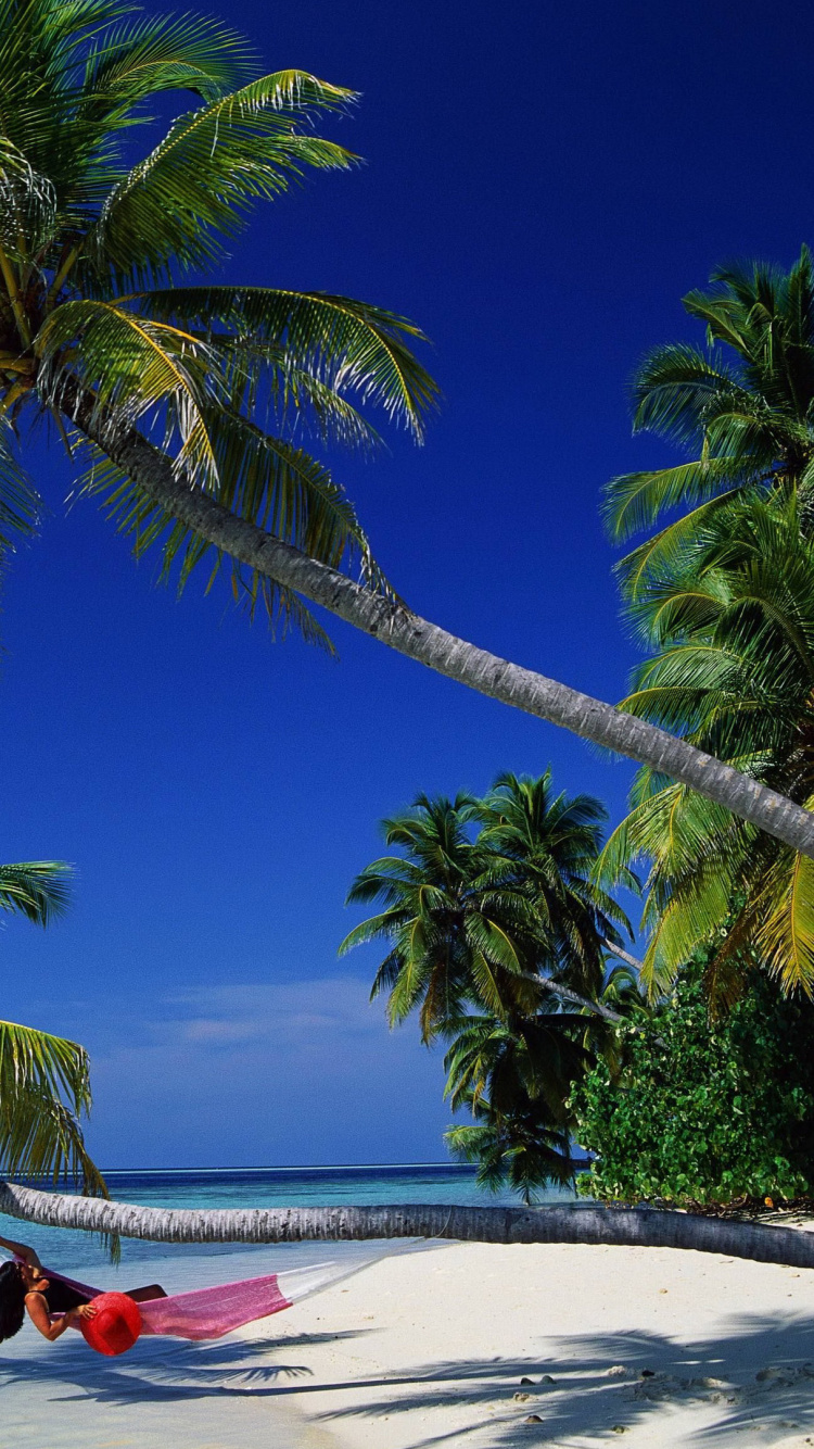 Bateau Rouge et Blanc Sur la Plage Pendant la Journée. Wallpaper in 750x1334 Resolution