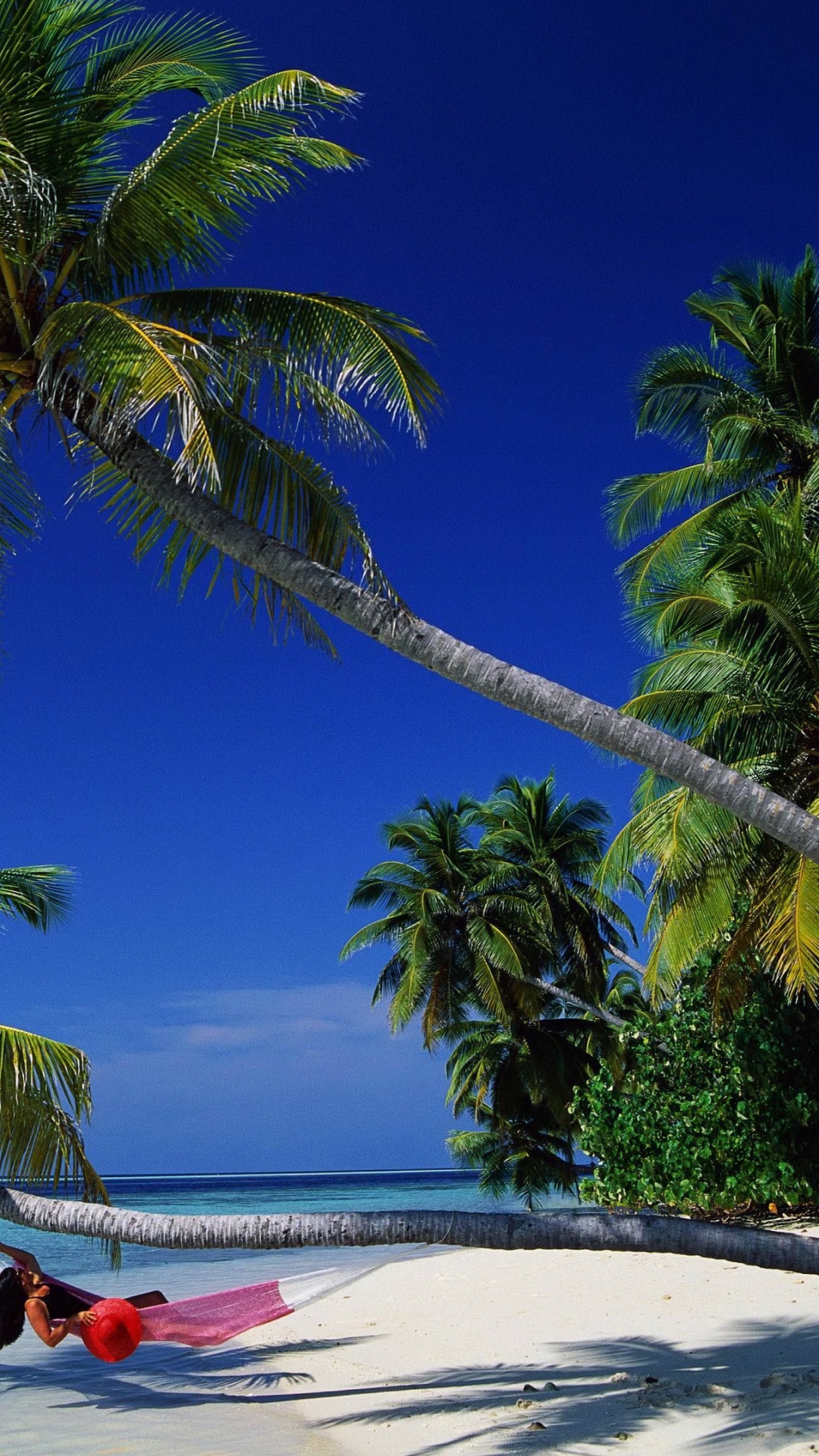 Tagsüber Rot-weißes Boot am Strand Beach. Wallpaper in 1080x1920 Resolution