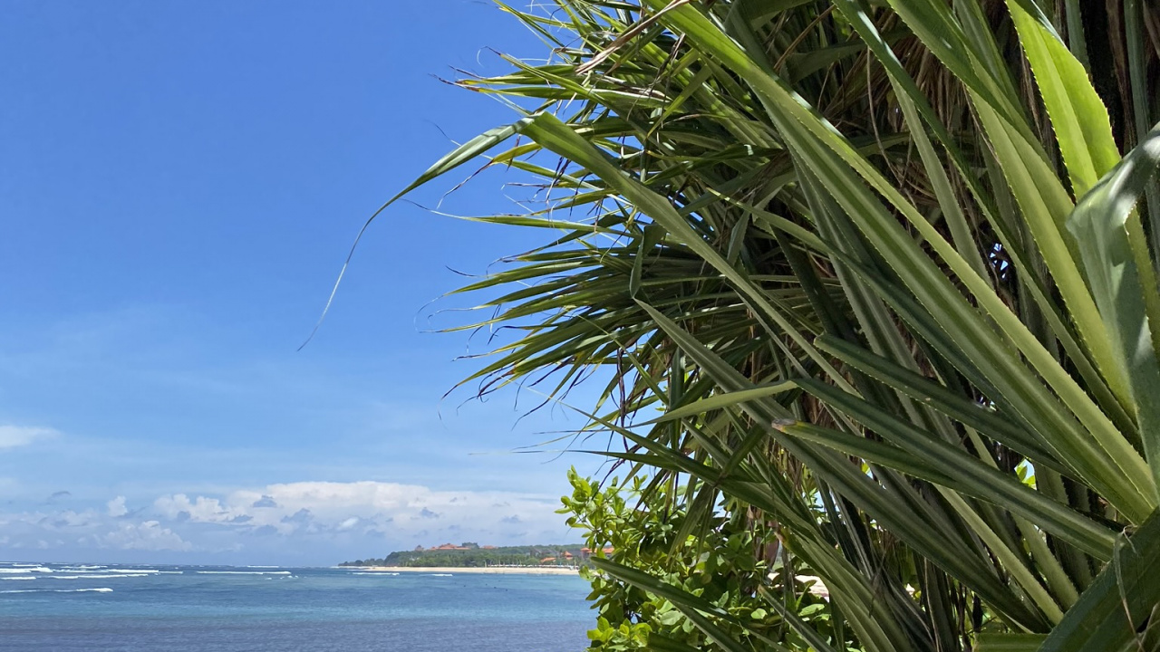 Agua, Palmera, Oceano, Azure, Orilla. Wallpaper in 1280x720 Resolution