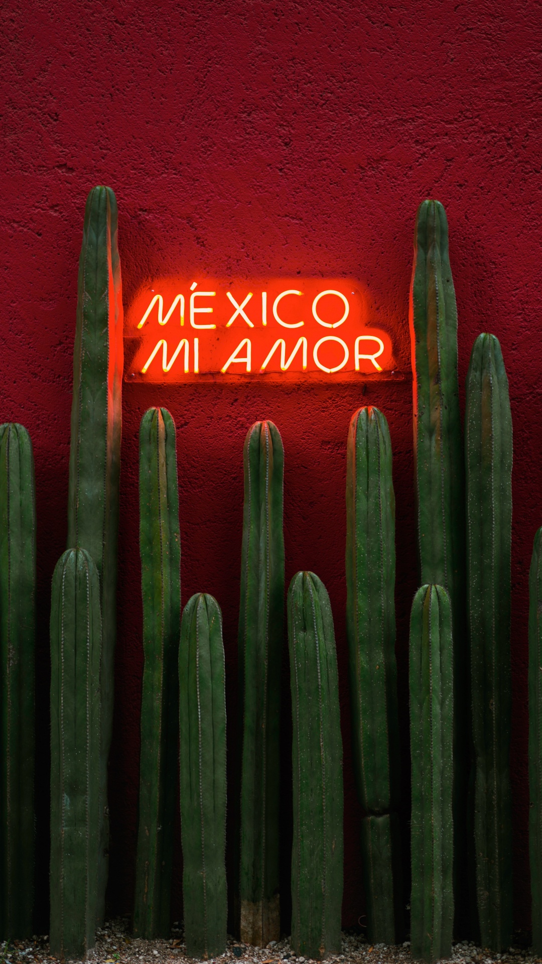 Verde, Saguaro, Cactus, San Pedro Cactus, Hedgehog Cactus. Wallpaper in 1080x1920 Resolution