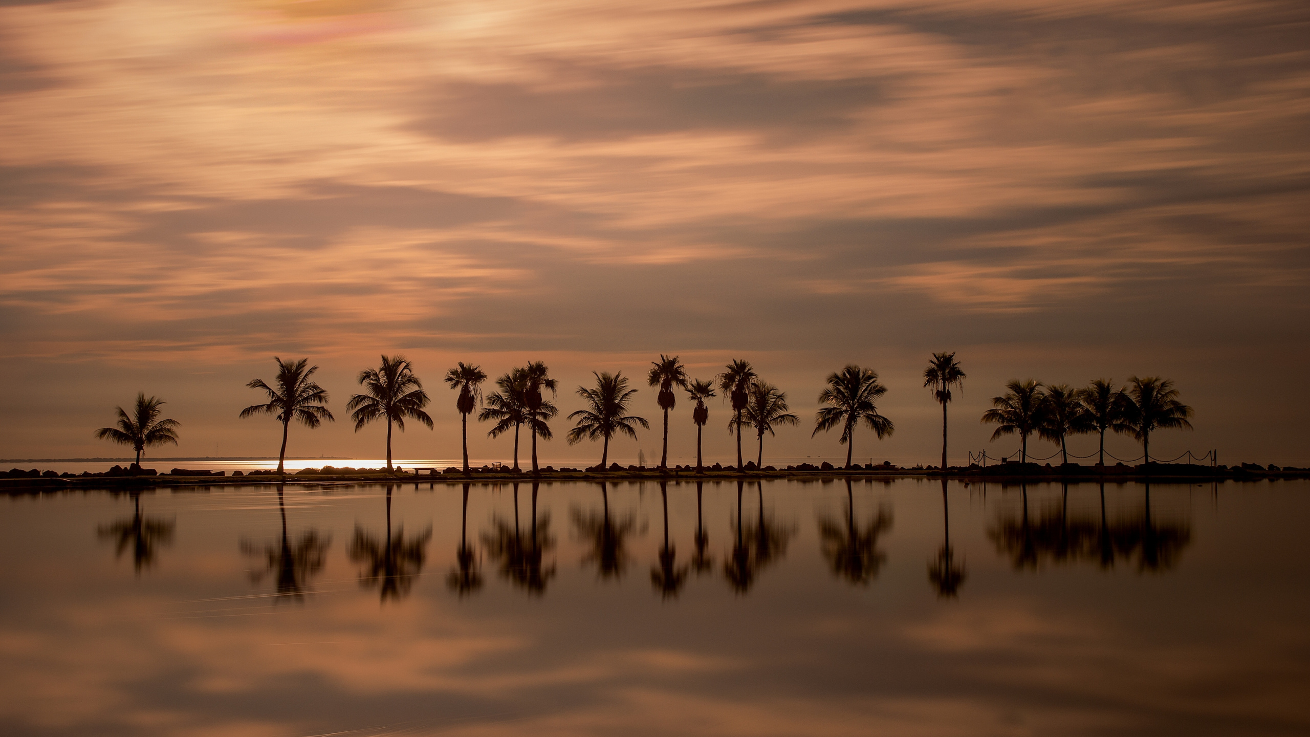 Palm Trees on Body of Water During Daytime. Wallpaper in 2560x1440 Resolution