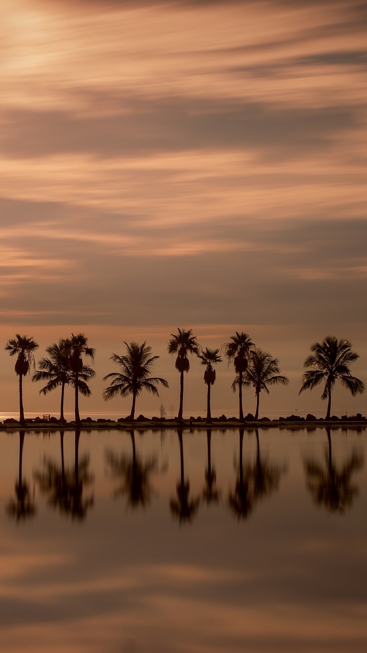 迈阿密, 反射, 日落, 晚上, 冷静 壁纸 720x1280 允许