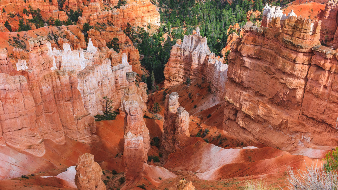 Brown Rock Formation Near Green Trees During Daytime. Wallpaper in 1366x768 Resolution