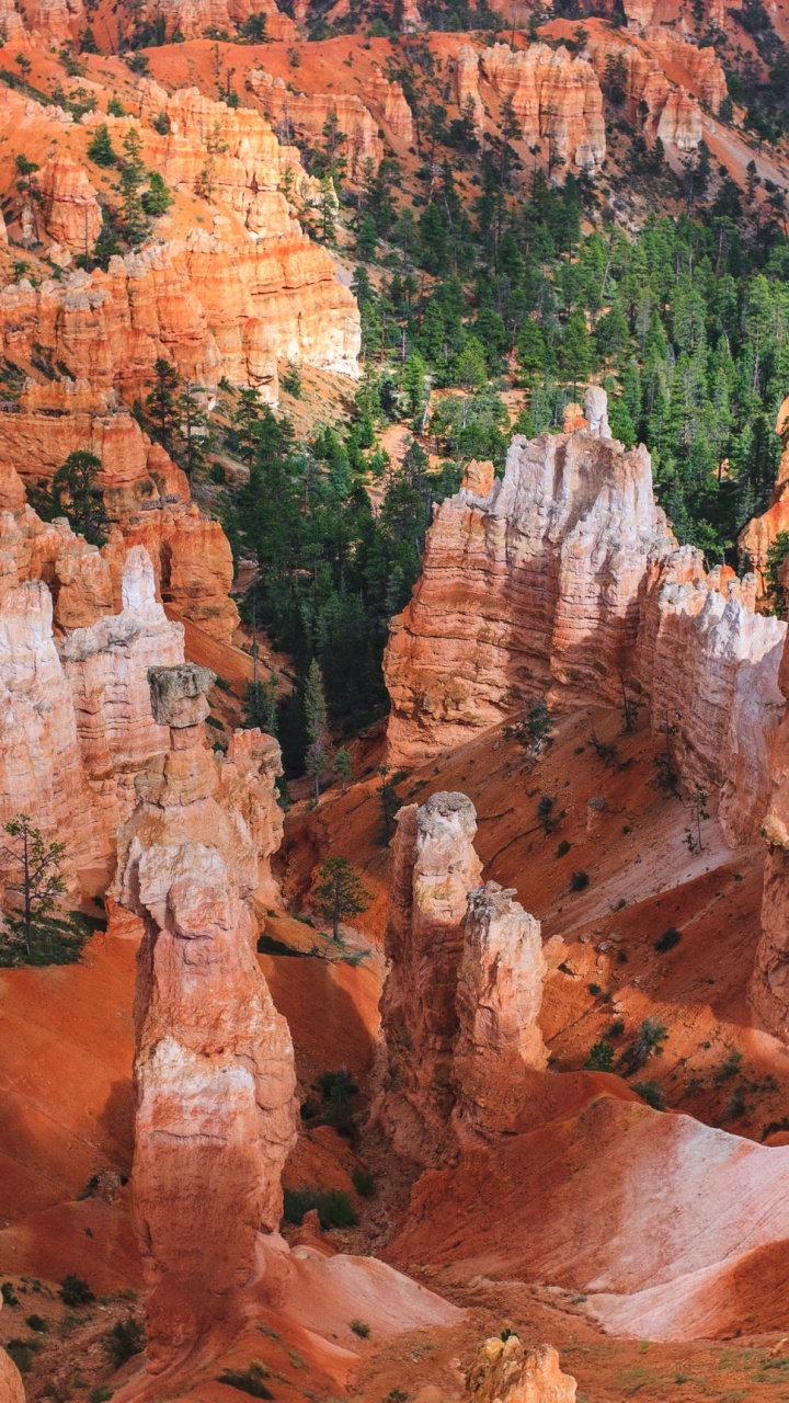 Brown Rock Formation Near Green Trees During Daytime. Wallpaper in 720x1280 Resolution