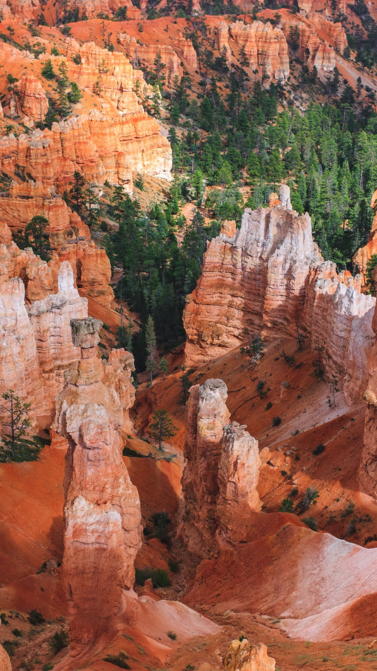 Brown Rock Formation Near Green Trees During Daytime. Wallpaper in 750x1334 Resolution