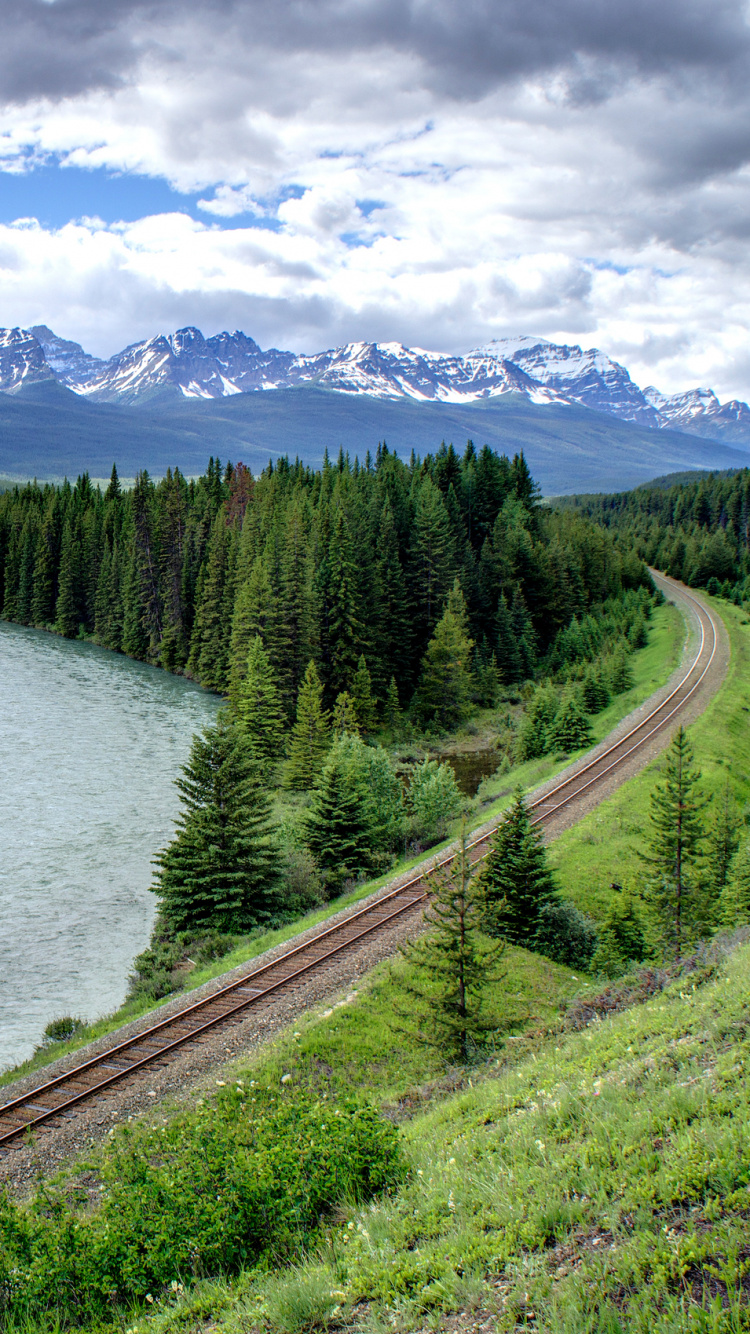 Pins Verts Près de la Rivière Sous Des Nuages Blancs et un Ciel Bleu Pendant la Journée. Wallpaper in 750x1334 Resolution
