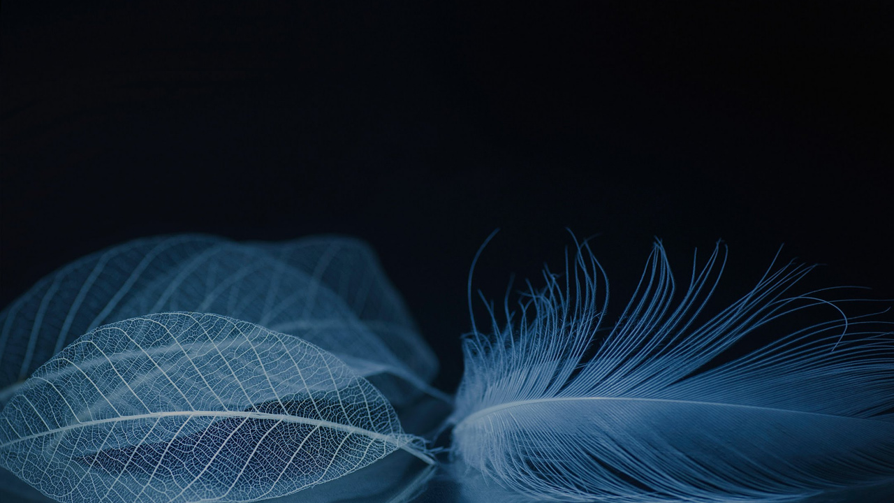 ZTE, ZTE Axon M, Axón Zte, Zte Axon 10 Pro, Smartphone. Wallpaper in 1280x720 Resolution