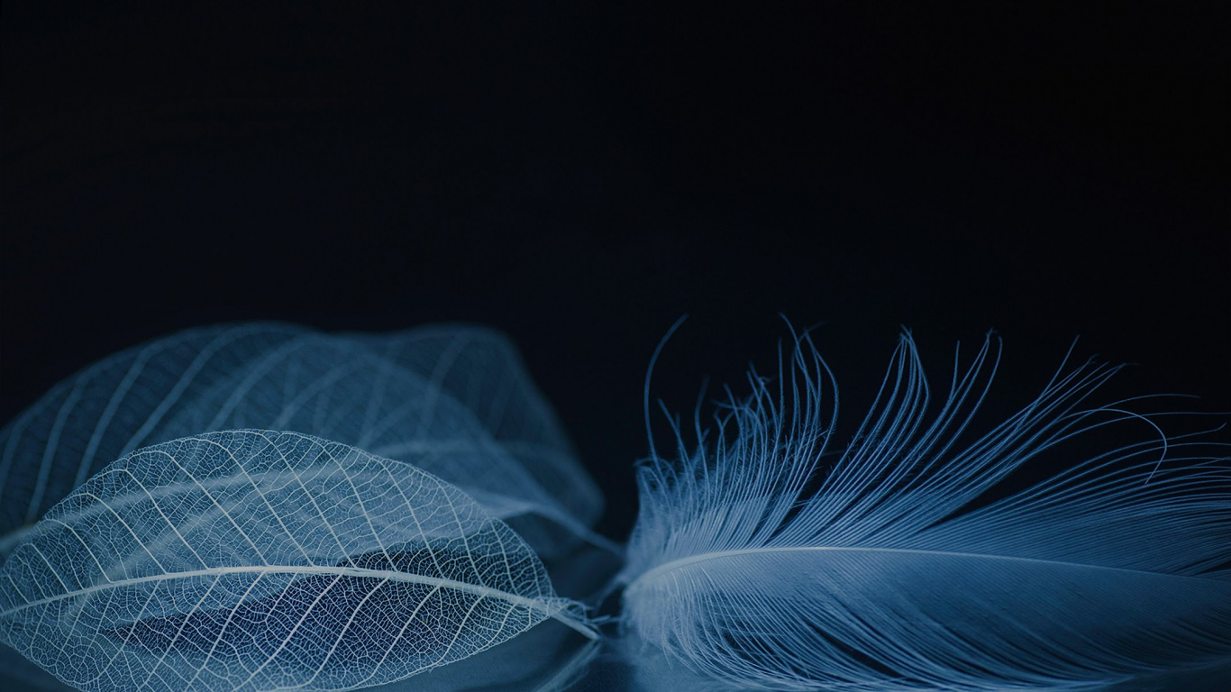 ZTE, ZTE Axon M, Zte Axone, Zte Axon 10 Pro, Smartphone. Wallpaper in 1366x768 Resolution