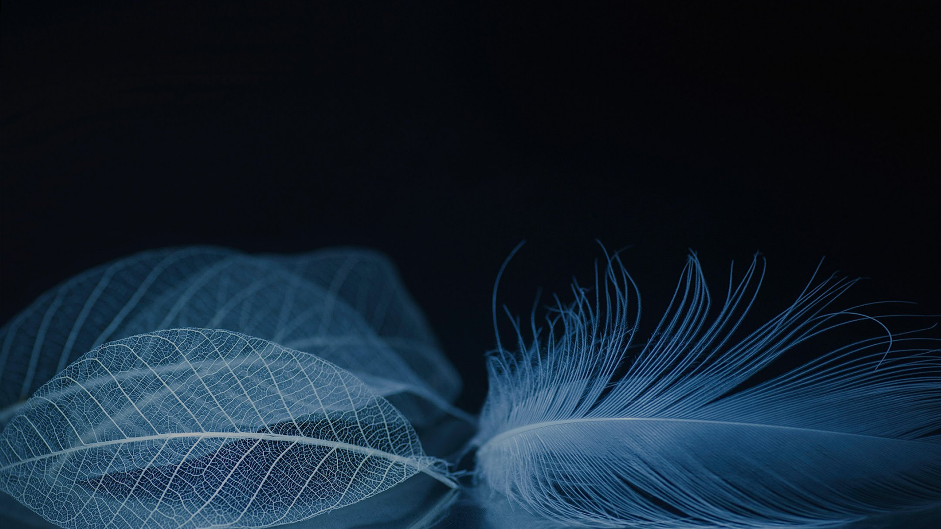 ZTE, ZTE Axon M, Zte Axone, Zte Axon 10 Pro, Smartphone. Wallpaper in 1920x1080 Resolution