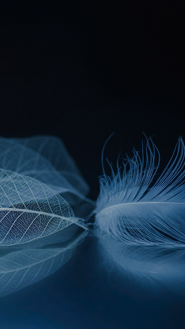 ZTE, ZTE Axon M, Zte Axone, Zte Axon 10 Pro, Smartphone. Wallpaper in 750x1334 Resolution