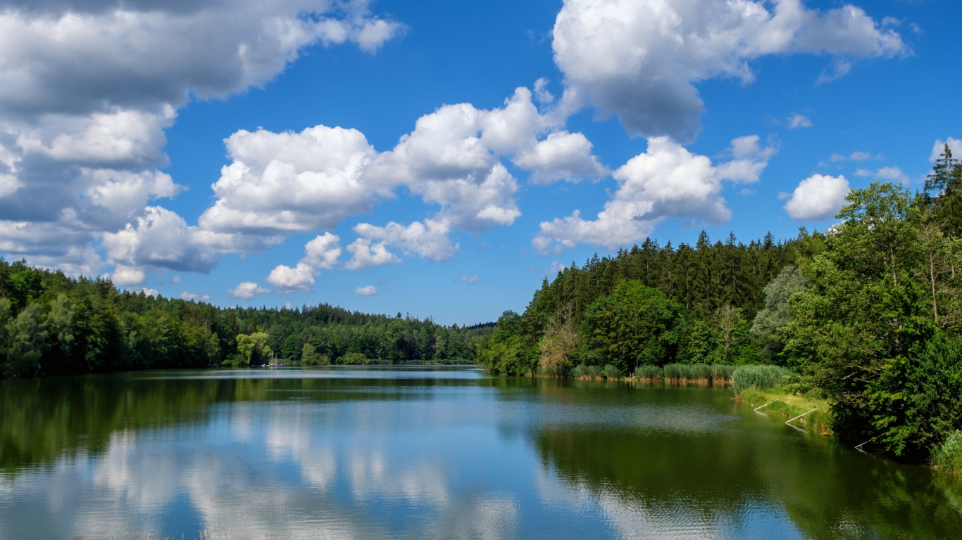 Reflection, Cloud, Water, Daytime, Plant. Wallpaper in 1366x768 Resolution