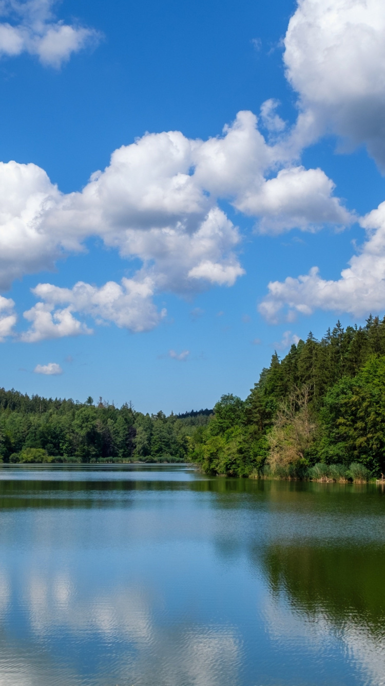 Reflection, Cloud, Water, Daytime, Plant. Wallpaper in 750x1334 Resolution
