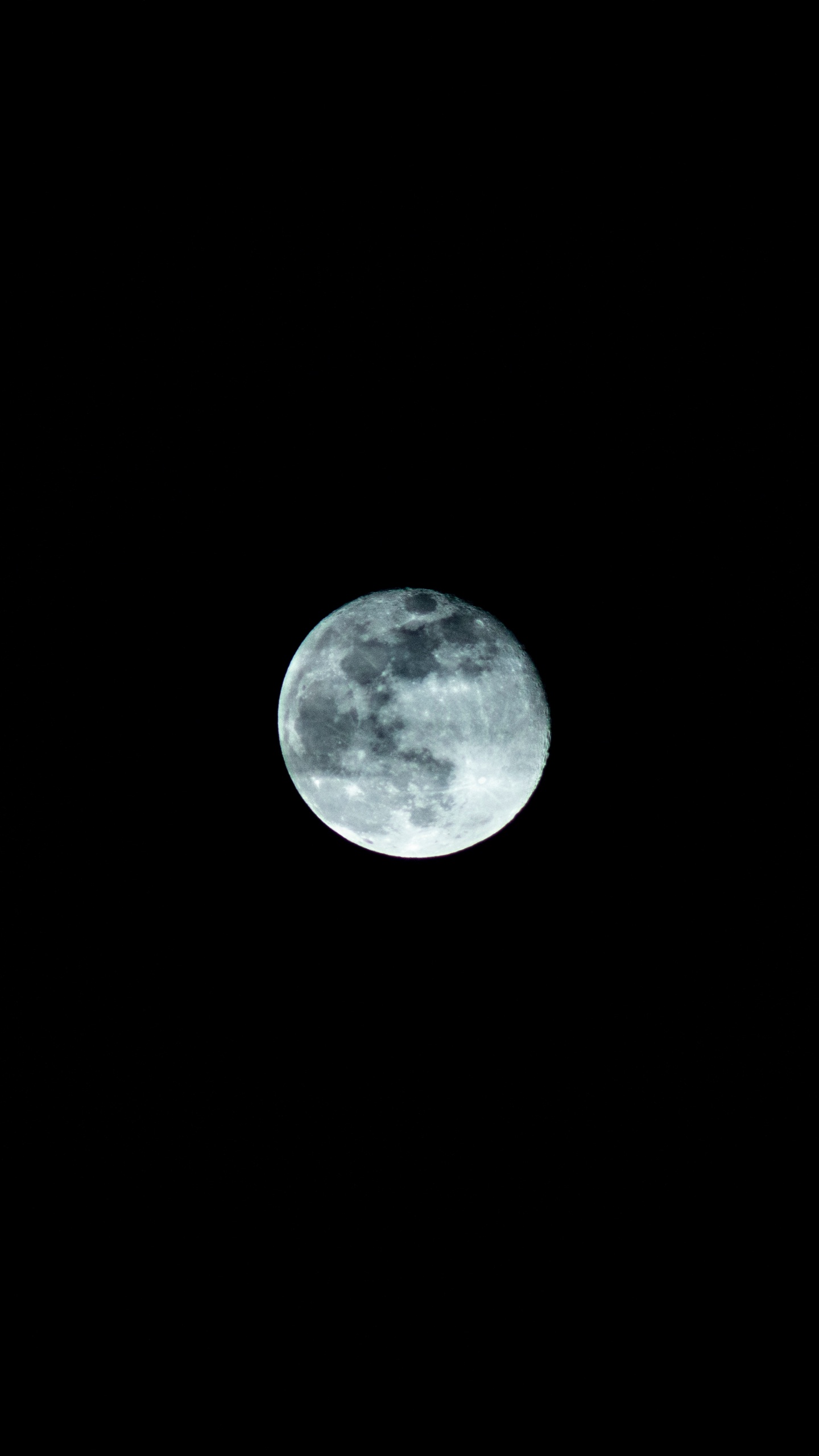 Pleine Lune Dans le Ciel Nocturne. Wallpaper in 1440x2560 Resolution
