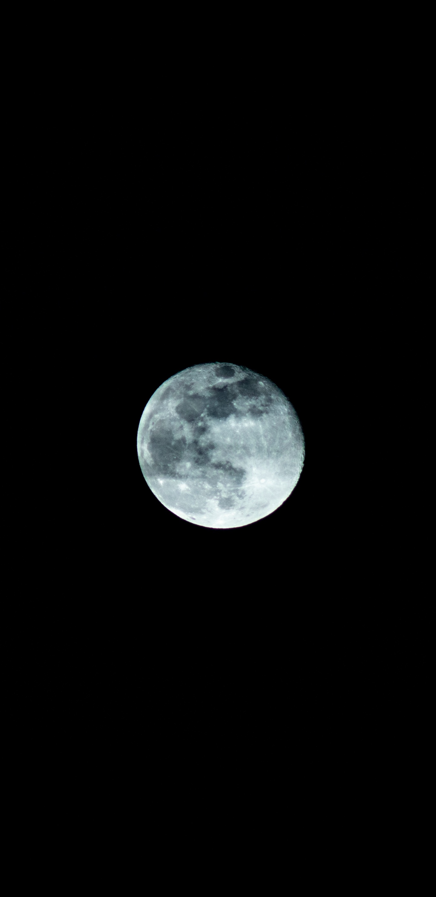 Luna Llena en el Cielo de la Noche Oscura. Wallpaper in 1440x2960 Resolution