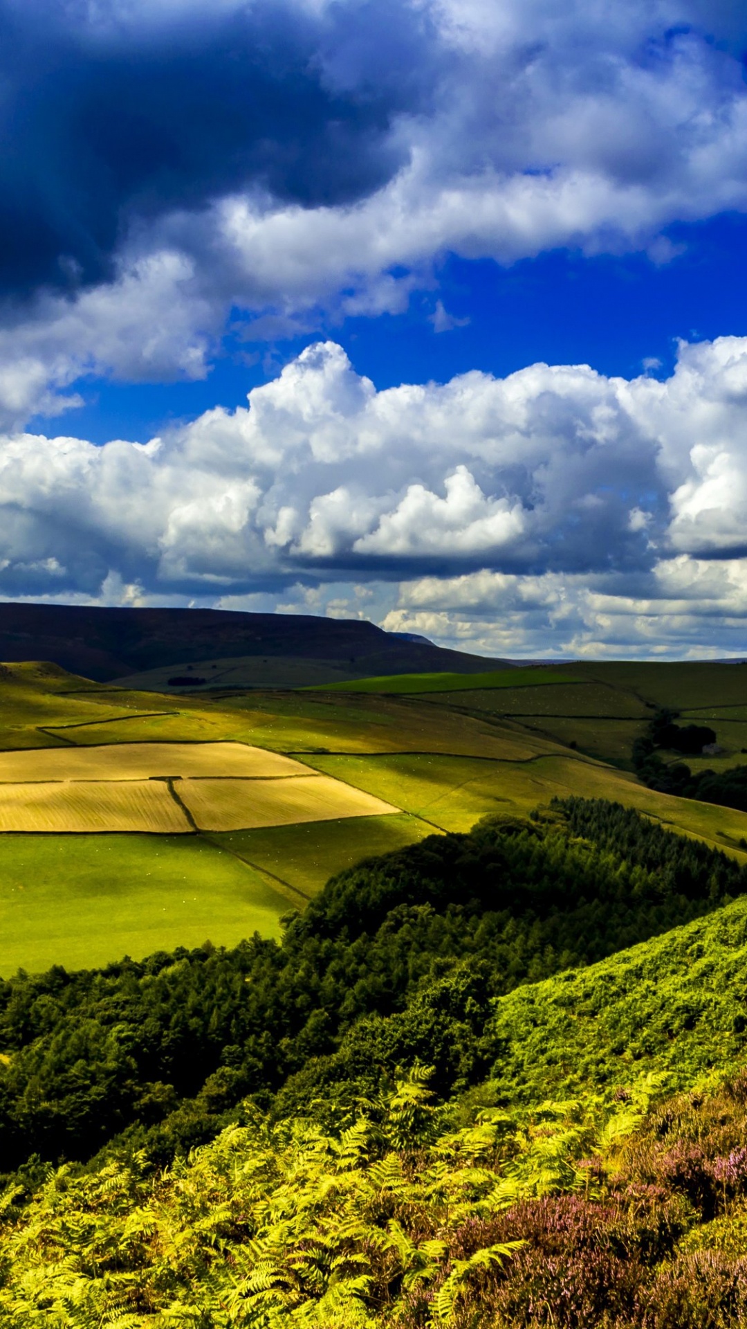 Grüne Wiese Unter Blauem Himmel Und Weißen Wolken Tagsüber. Wallpaper in 1080x1920 Resolution