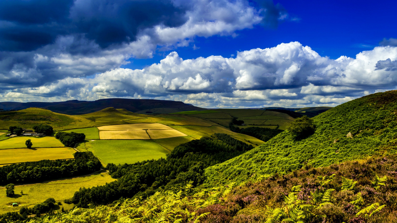 Grüne Wiese Unter Blauem Himmel Und Weißen Wolken Tagsüber. Wallpaper in 1280x720 Resolution