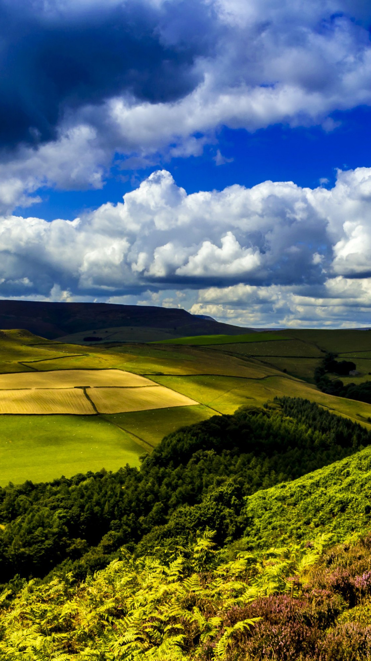 Grüne Wiese Unter Blauem Himmel Und Weißen Wolken Tagsüber. Wallpaper in 750x1334 Resolution