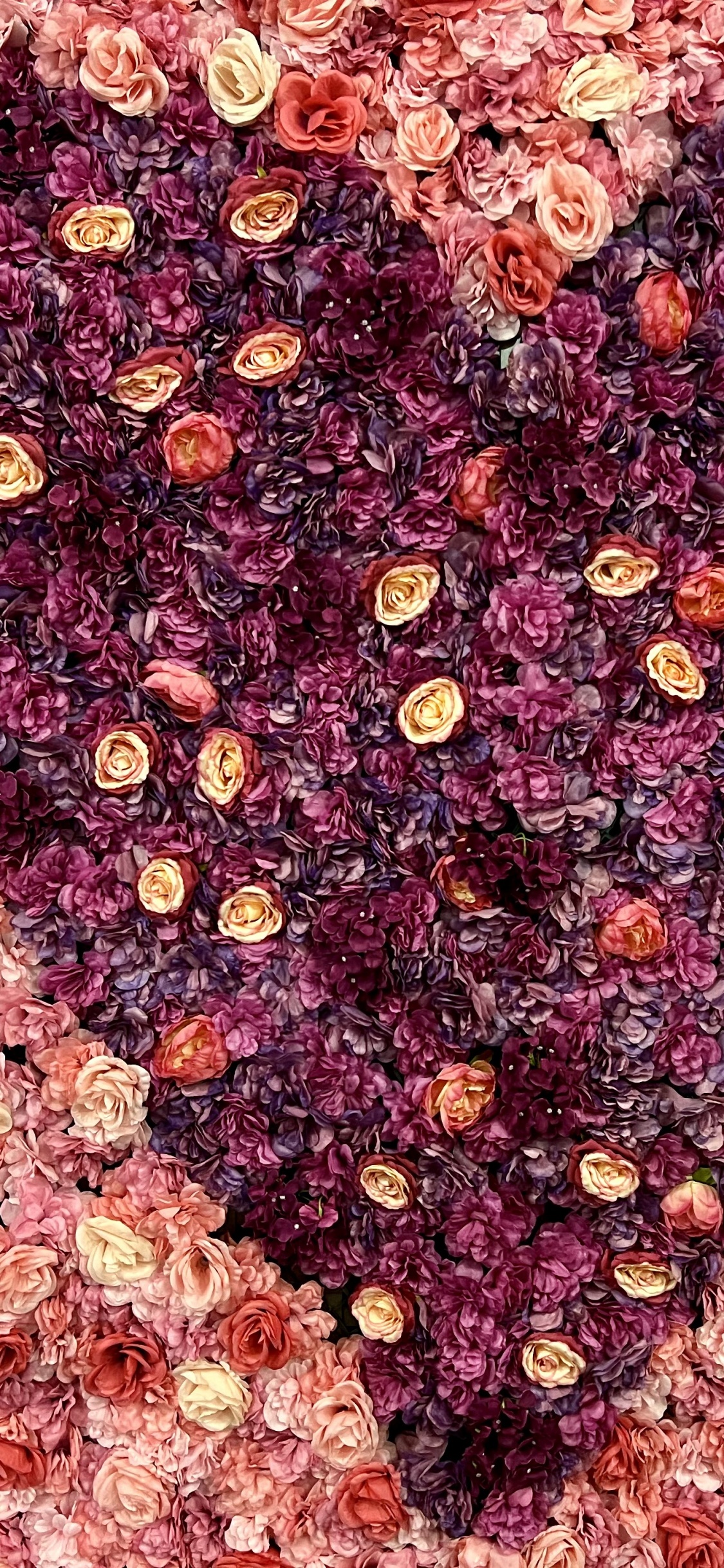 Muster, Rose, Textil, Magenta, Blütenblatt. Wallpaper in 1125x2436 Resolution