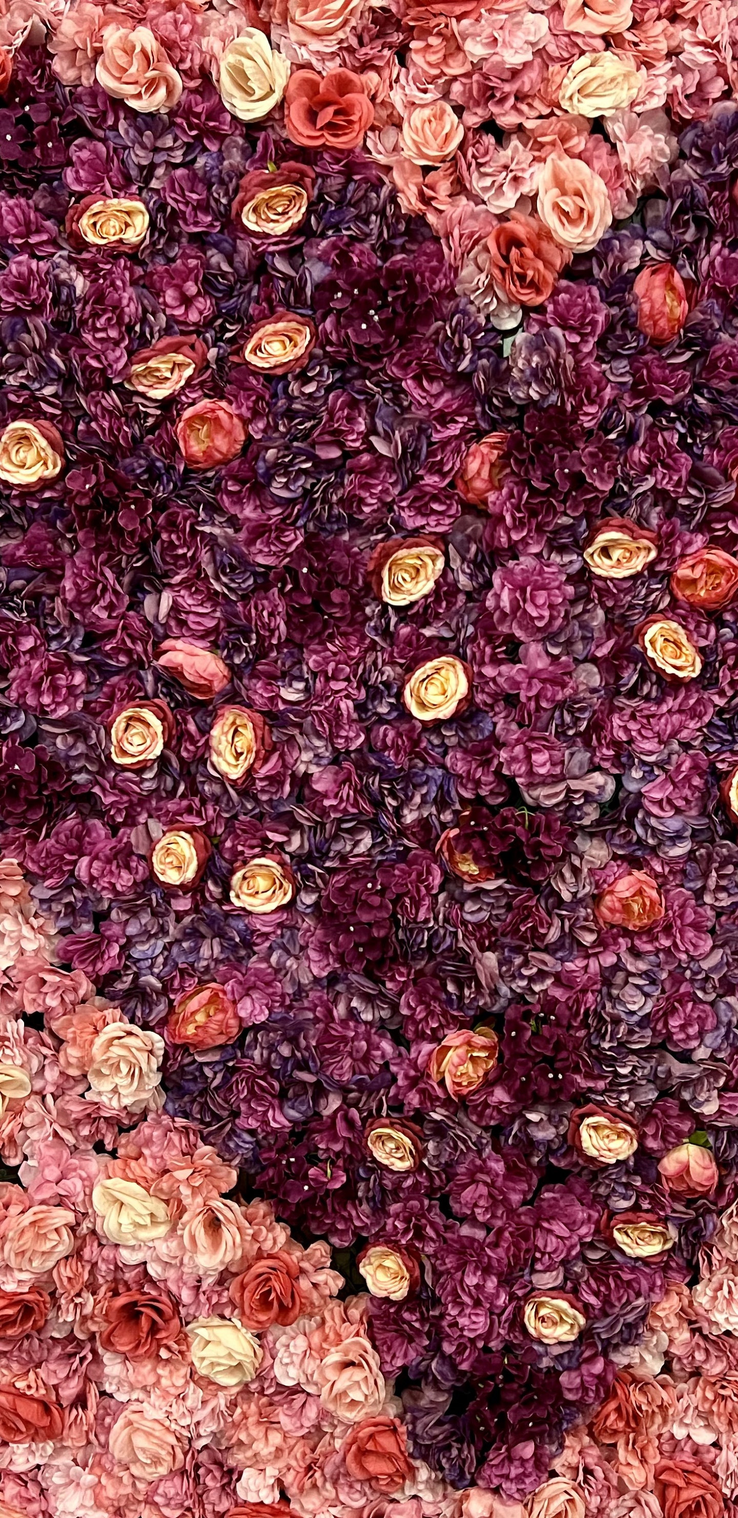 Muster, Rose, Textil, Magenta, Blütenblatt. Wallpaper in 1440x2960 Resolution