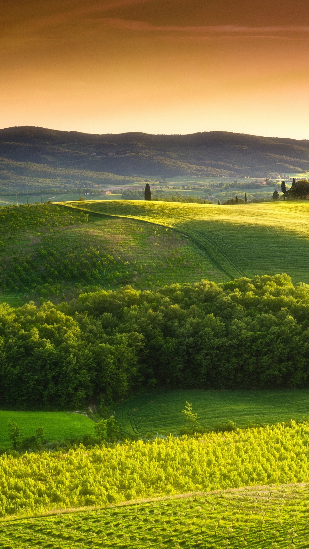 Green Grass Field Under Blue Sky During Daytime. Wallpaper in 1080x1920 Resolution