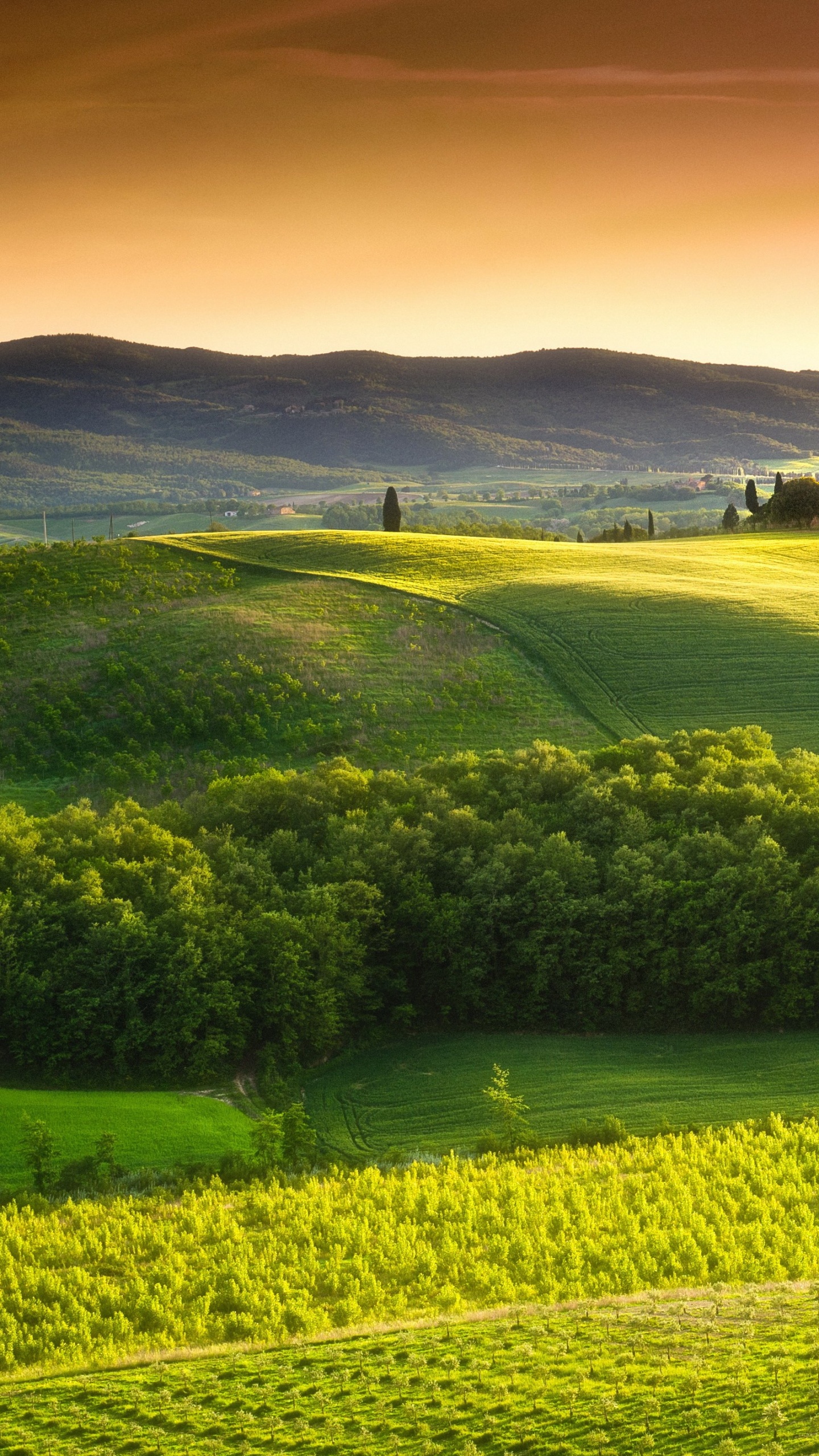 Green Grass Field Under Blue Sky During Daytime. Wallpaper in 1440x2560 Resolution