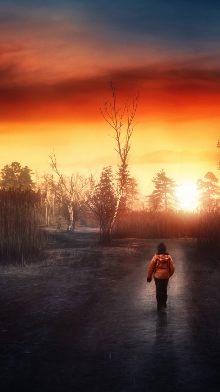 Ambiente, Paisaje Natural, Afterglow, Naranja, Sucursal. Wallpaper in 720x1280 Resolution