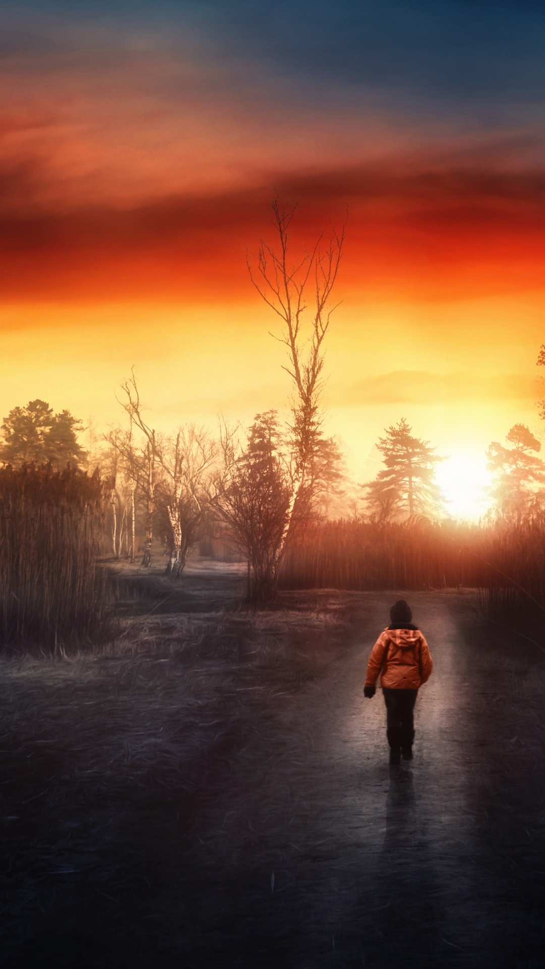 Cloud, Atmosphere, Plant, Natural Landscape, Afterglow. Wallpaper in 1080x1920 Resolution