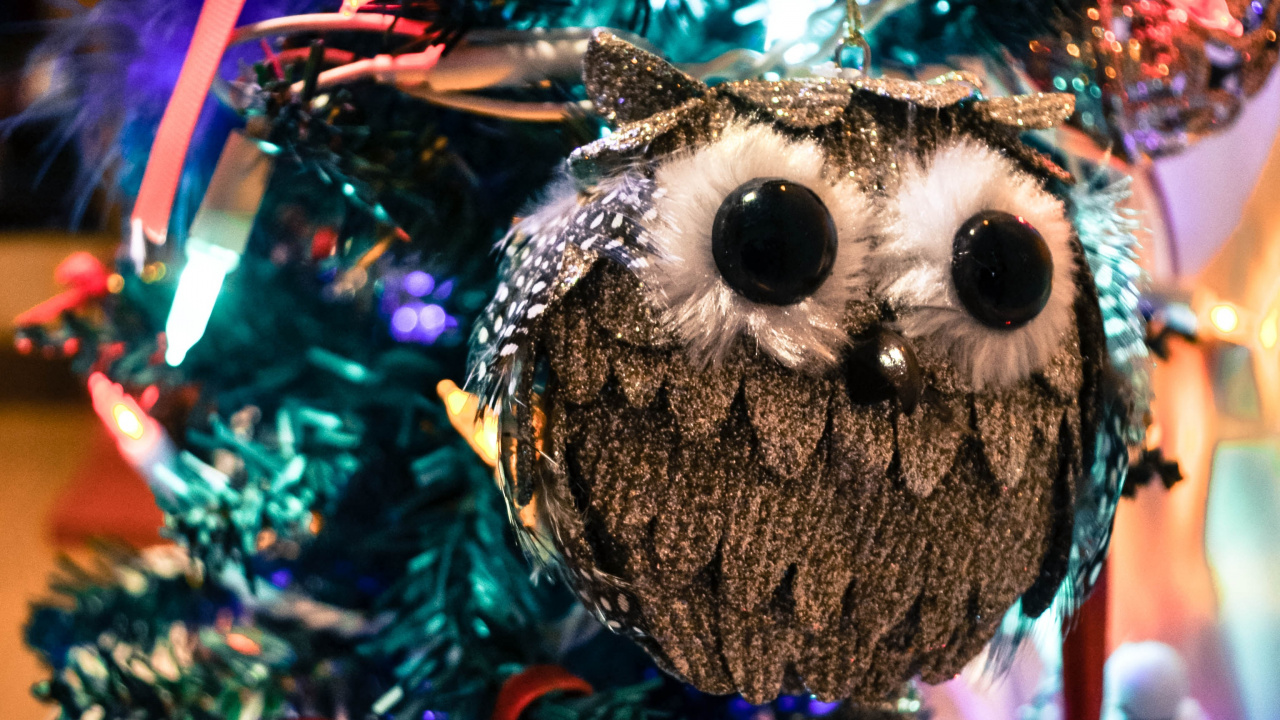 Christmas Day, Christmas Ornament, New Year, Tree, Christmas. Wallpaper in 1280x720 Resolution