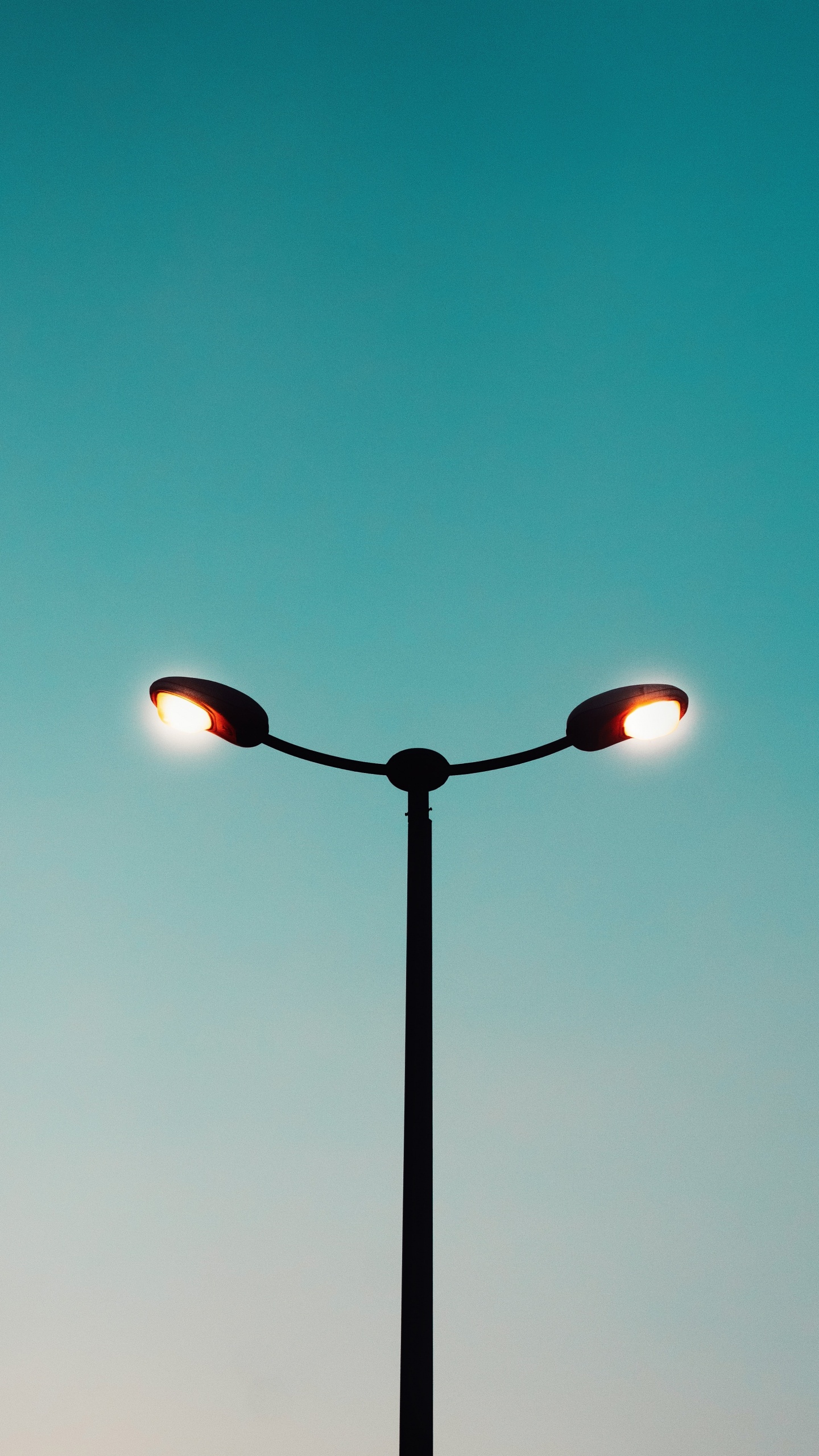 Réverbère Noir et Rouge Pendant la Nuit. Wallpaper in 1440x2560 Resolution