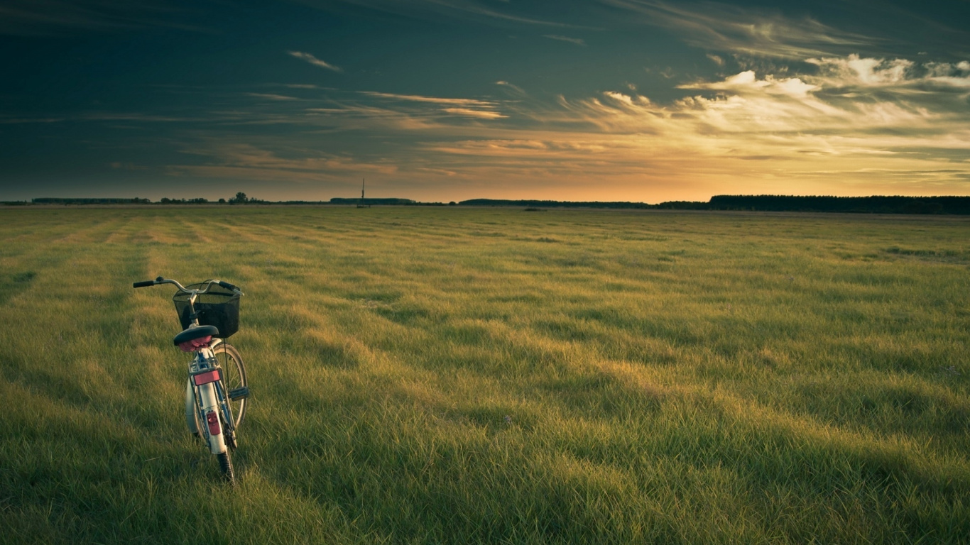 Green Grass Field Under Blue Sky During Daytime. Wallpaper in 1366x768 Resolution