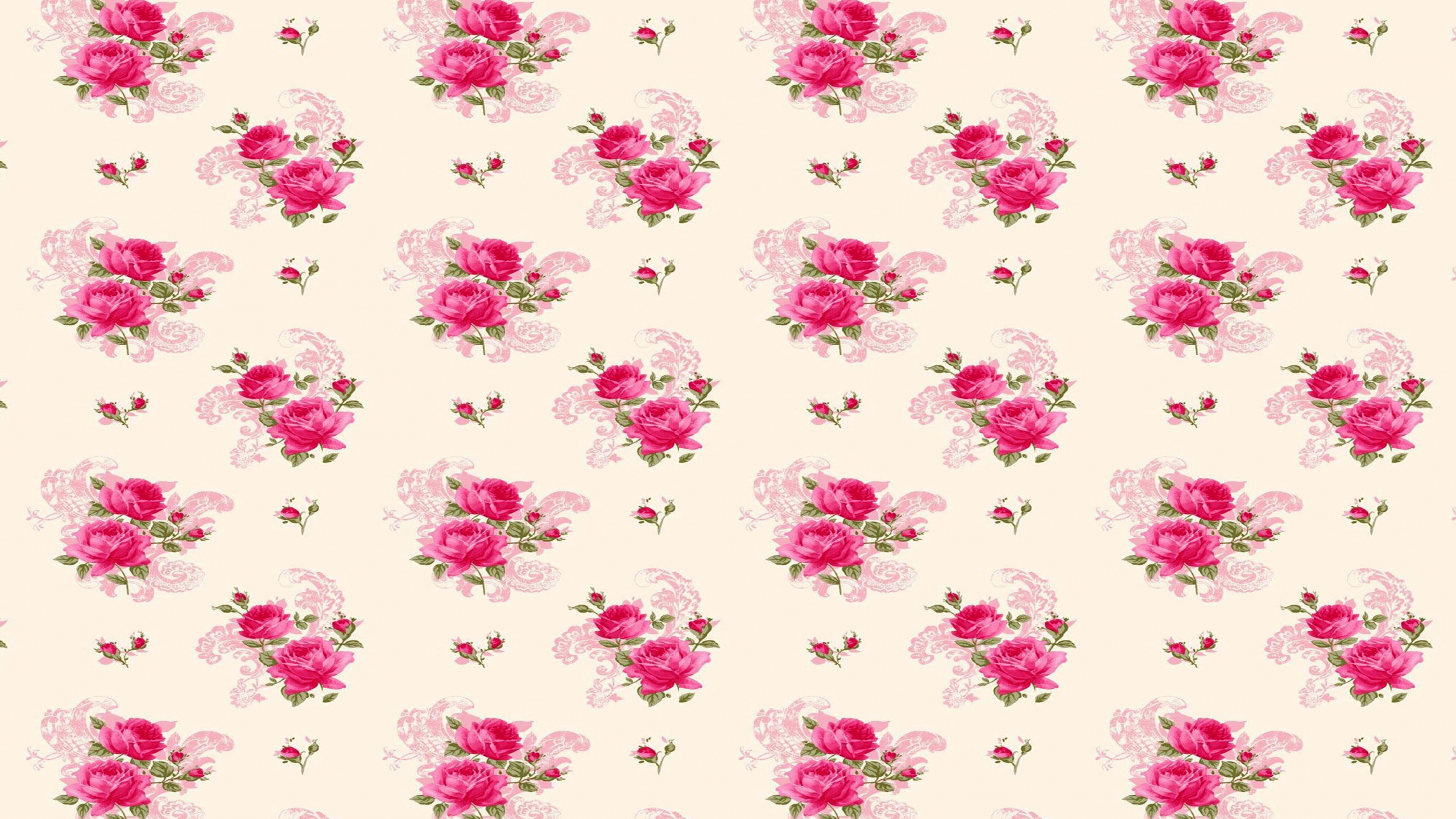 花卉设计, 粉红色, 玫瑰花园, 品红色, 纹理 壁纸 2560x1440 允许