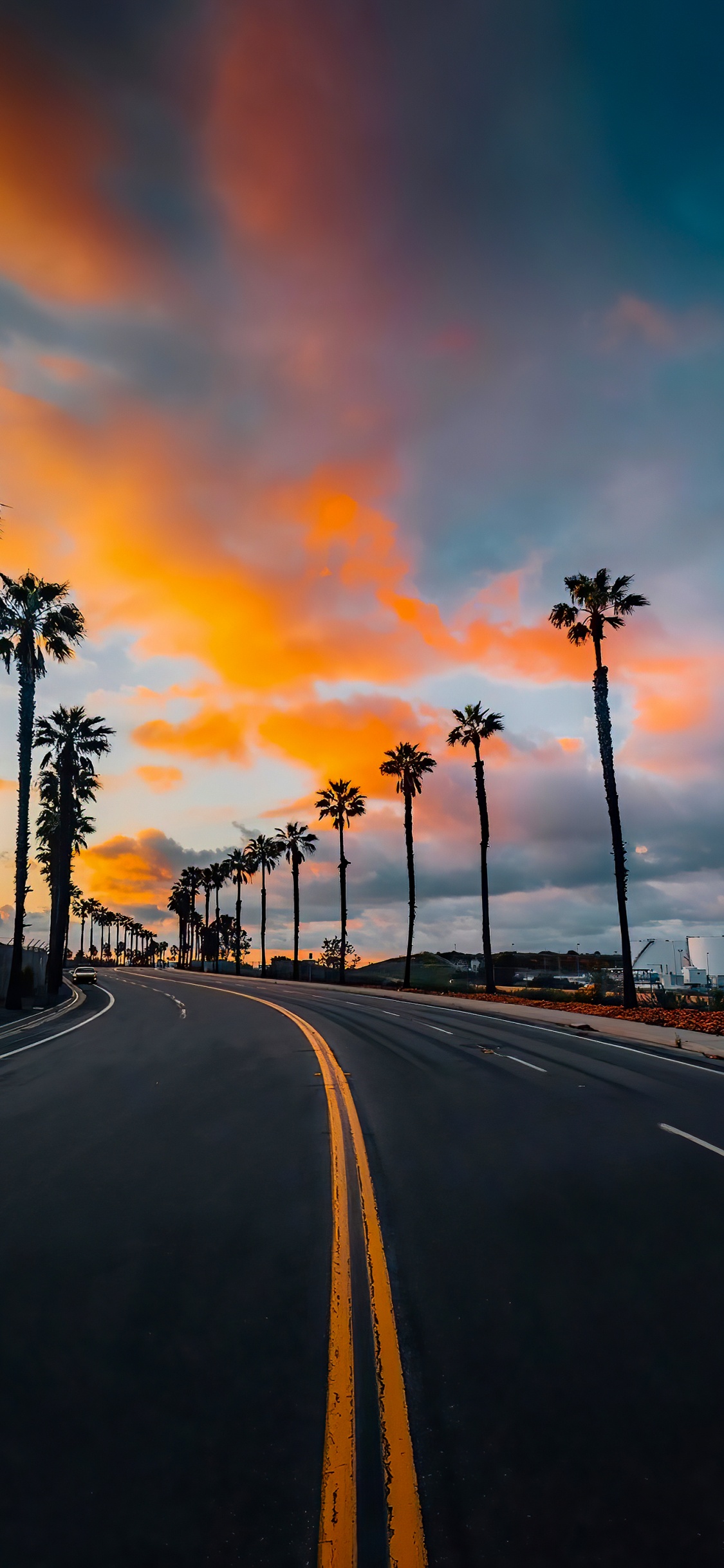 Cloud, Daytime, Plant, Tree, Road Surface. Wallpaper in 1125x2436 Resolution
