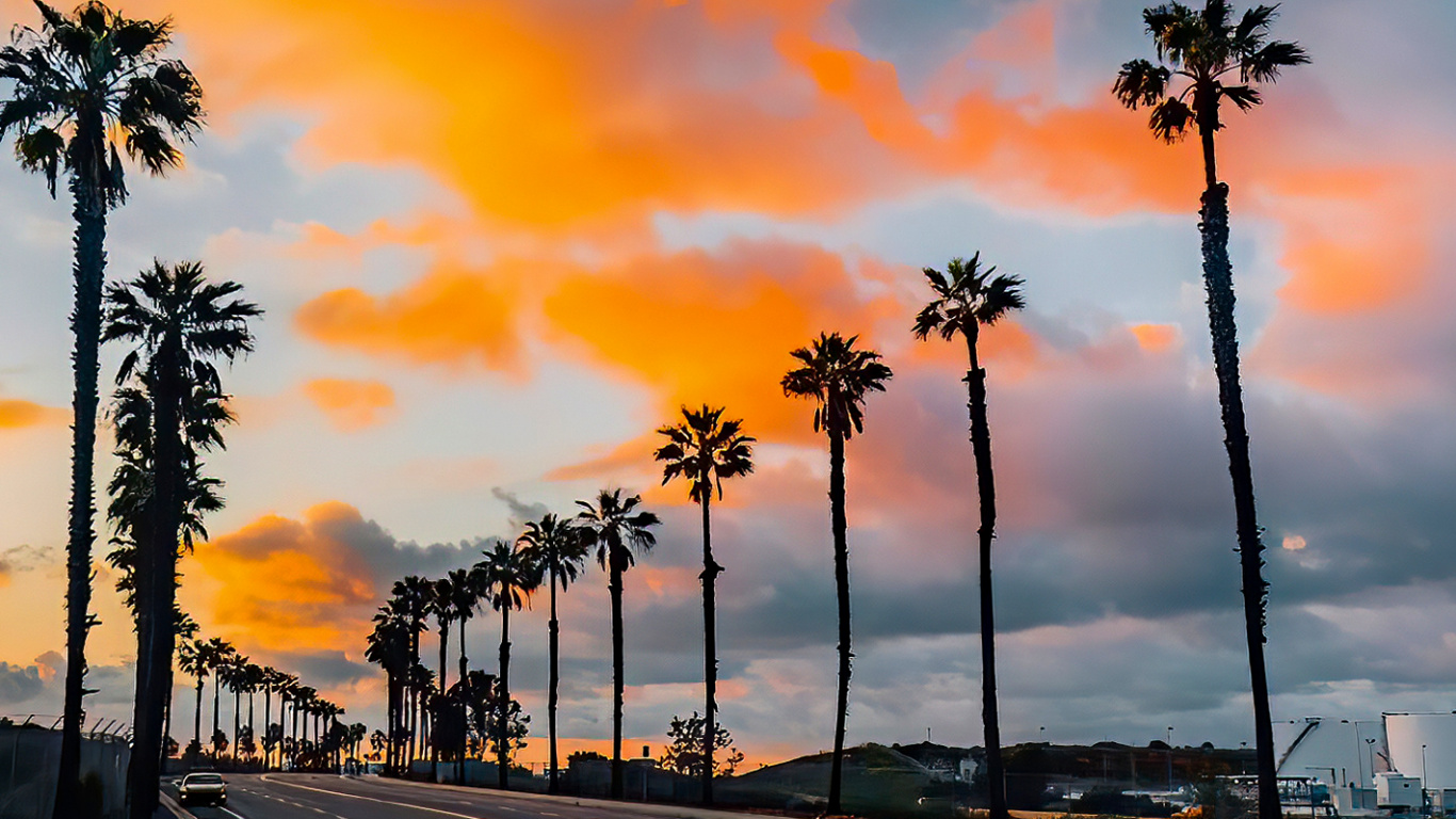 Cloud, Daytime, Plant, Tree, Road Surface. Wallpaper in 1366x768 Resolution