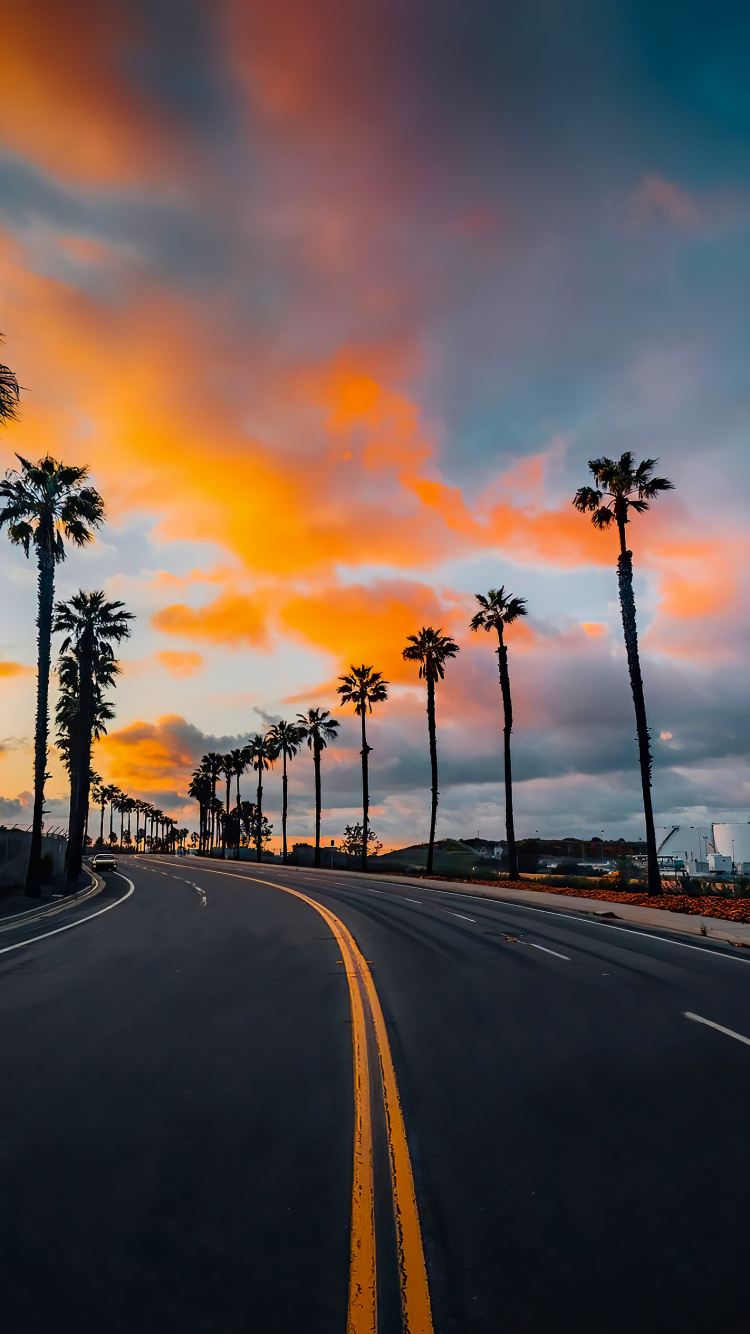 Cloud, Daytime, Plant, Tree, Road Surface. Wallpaper in 750x1334 Resolution