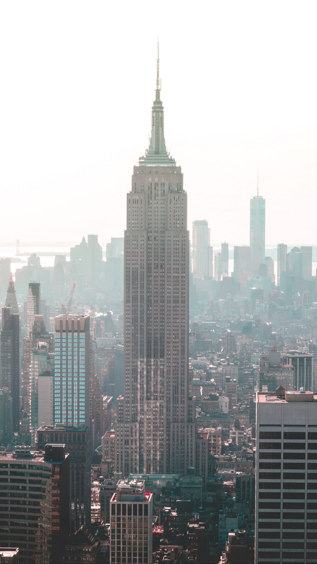 City Skyline Under White Sky During Daytime. Wallpaper in 1080x1920 Resolution