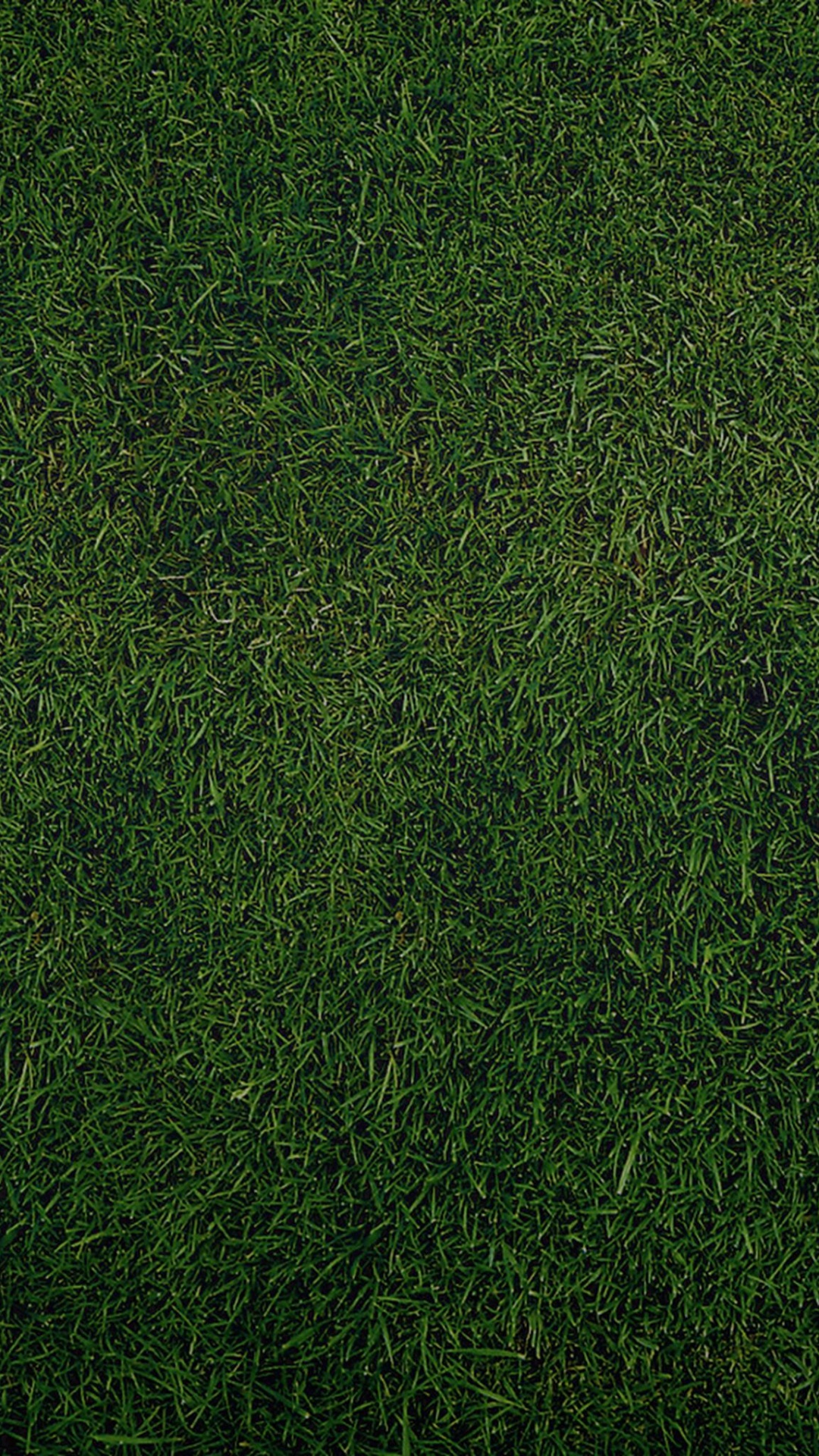 Campo de Hierba Verde Durante el Día. Wallpaper in 1080x1920 Resolution