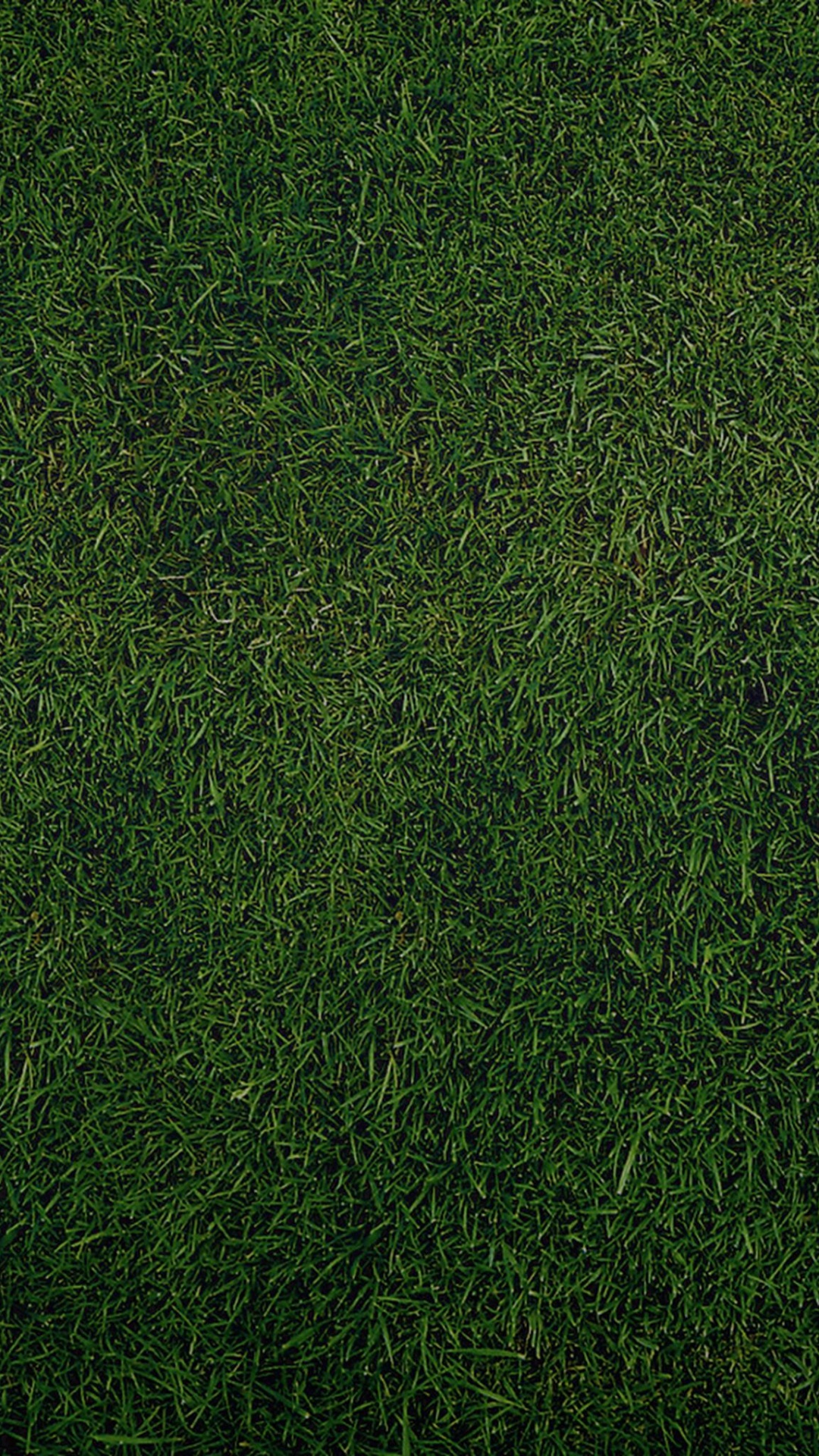 Green Grass Field During Daytime. Wallpaper in 1080x1920 Resolution