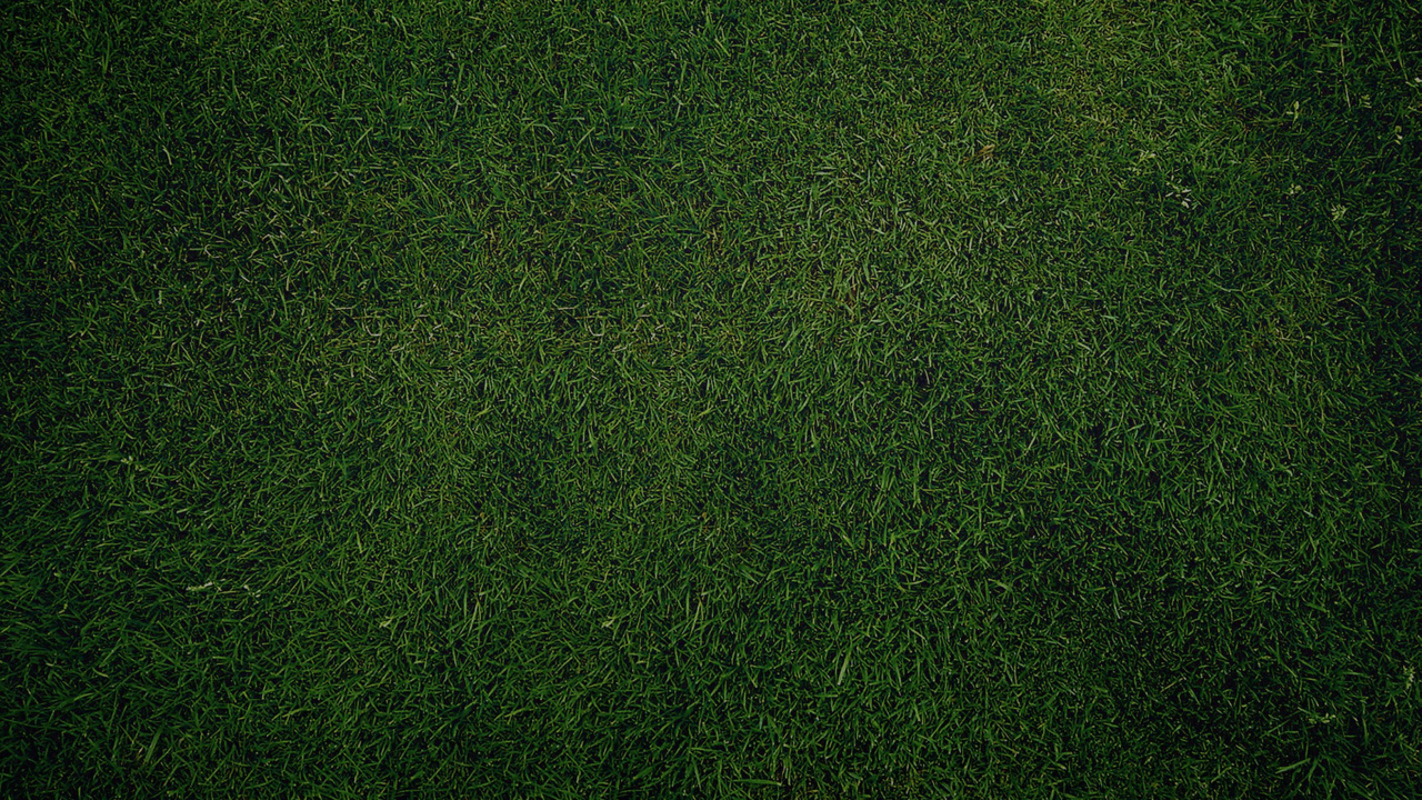 Green Grass Field During Daytime. Wallpaper in 1280x720 Resolution