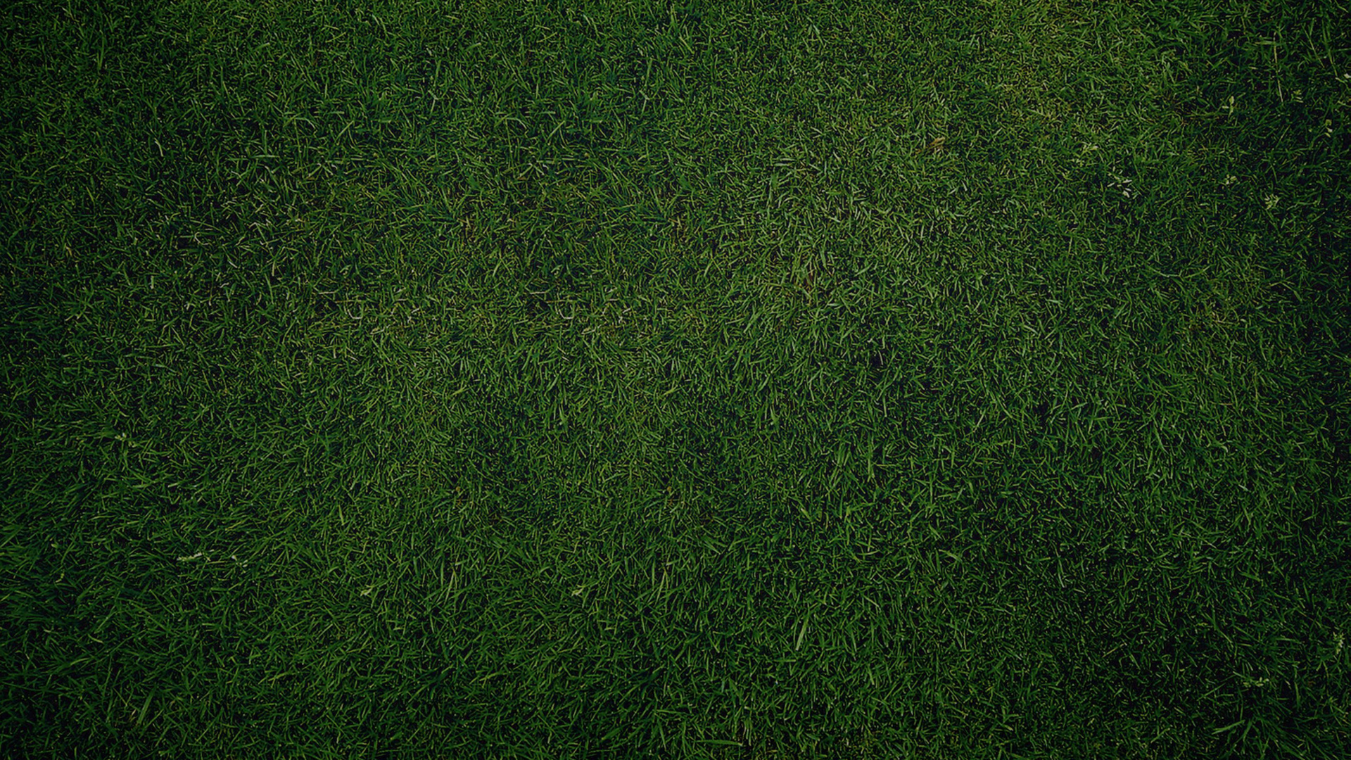 Green Grass Field During Daytime. Wallpaper in 1920x1080 Resolution